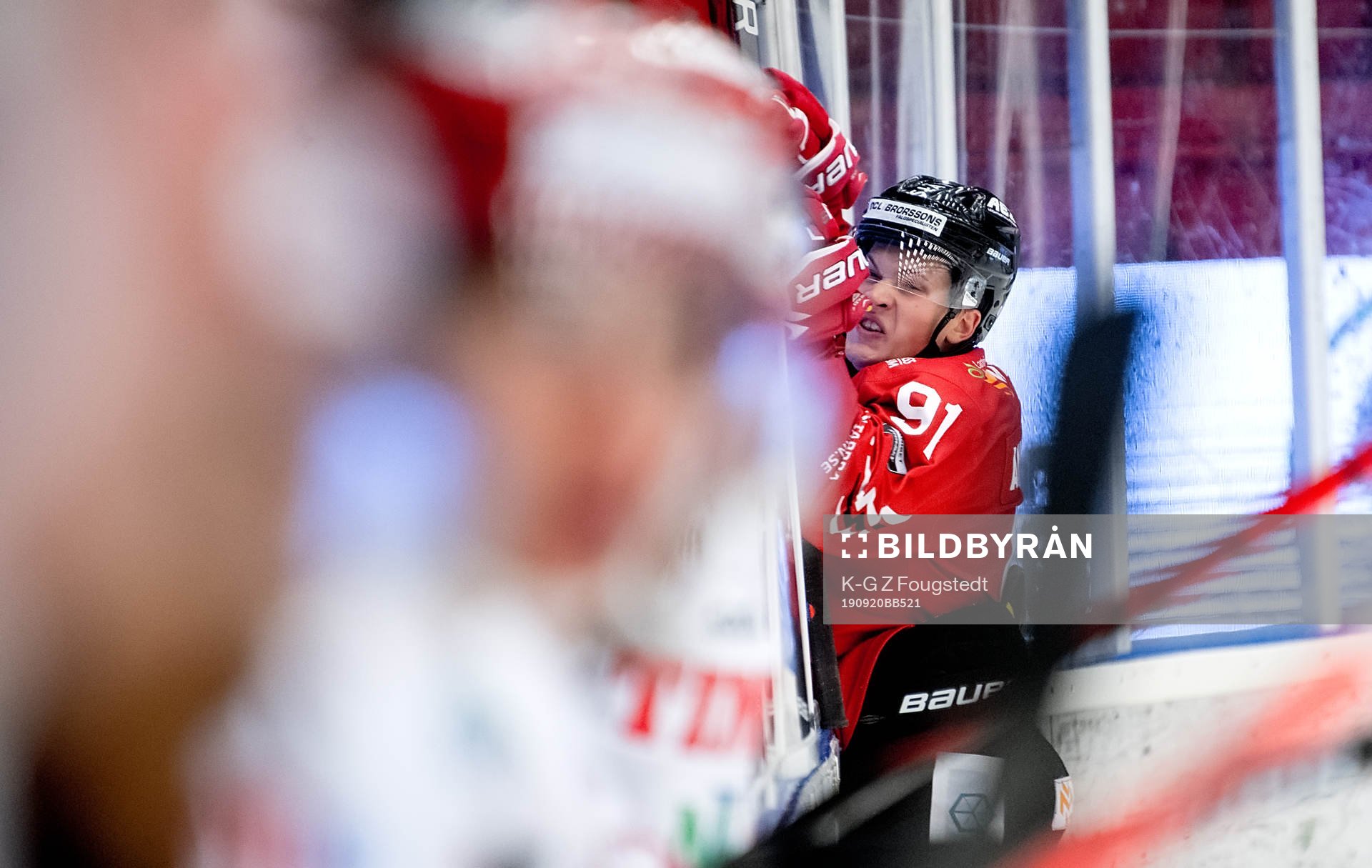 Linus Andersson i Vita Hästen