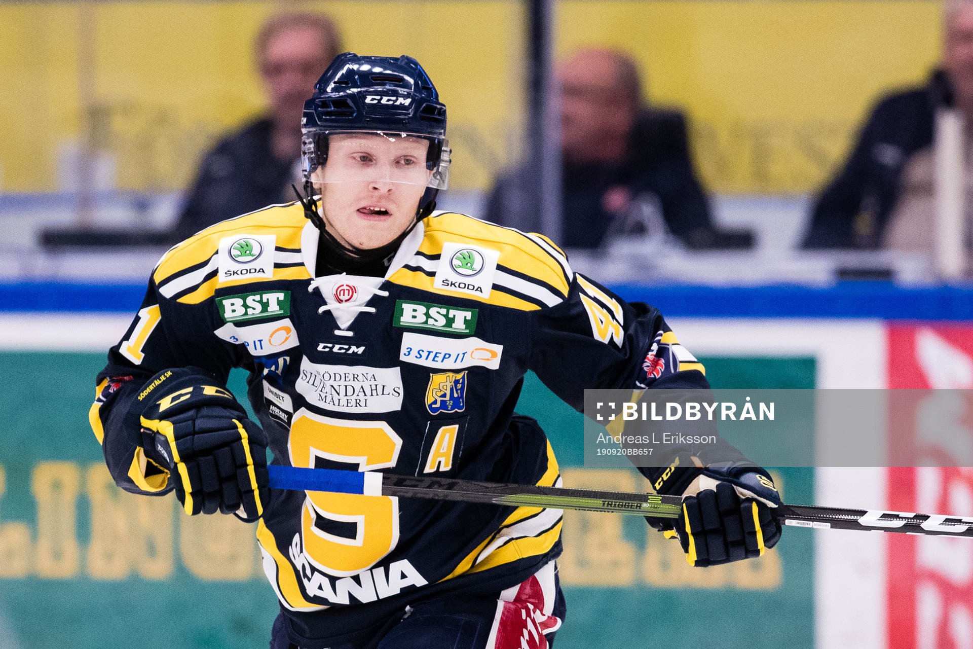 Södertäljes Alexander Falk