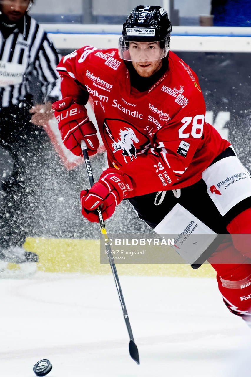 Vita Hästens Istvan Bartalis