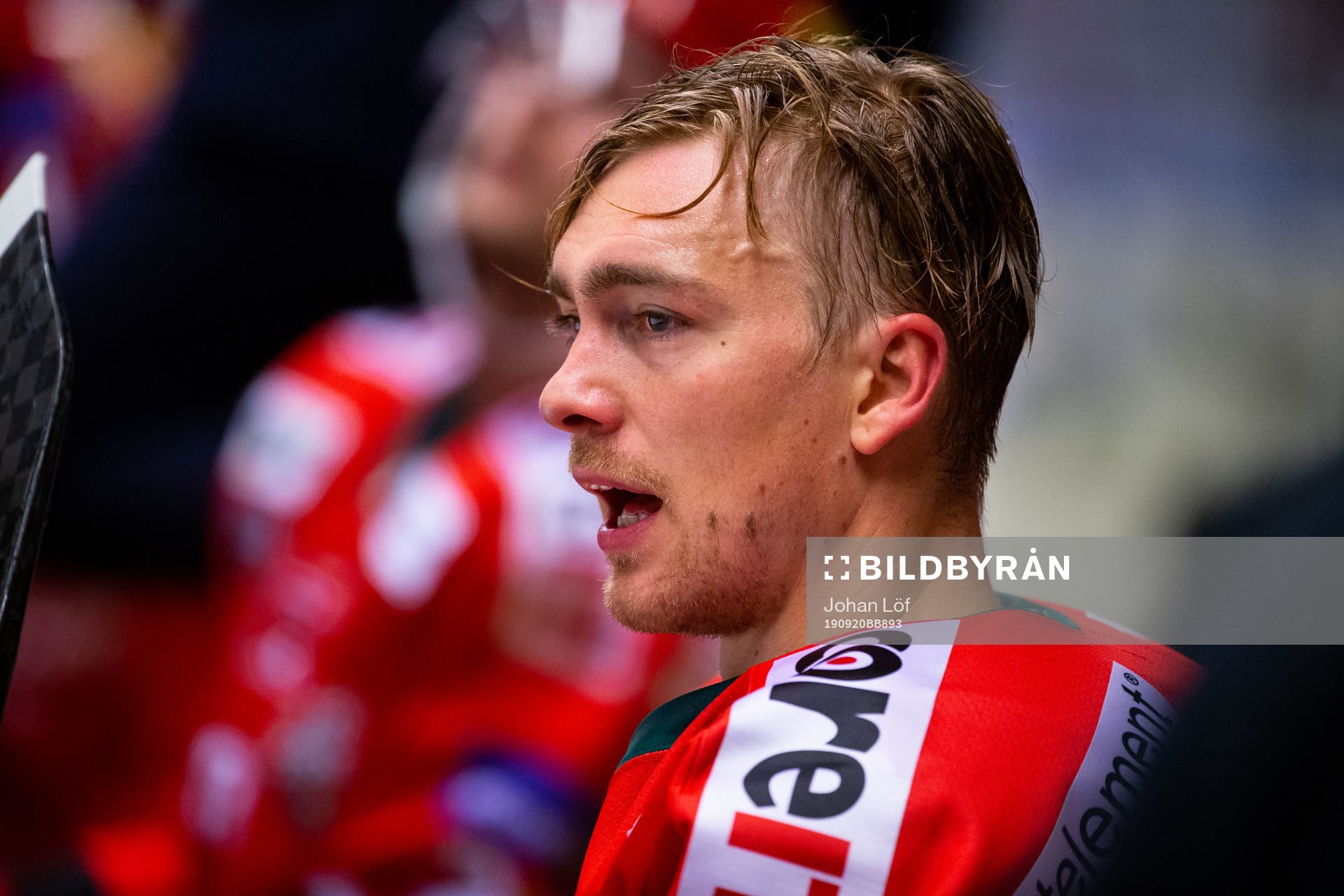 Modos Johan Forsberg
