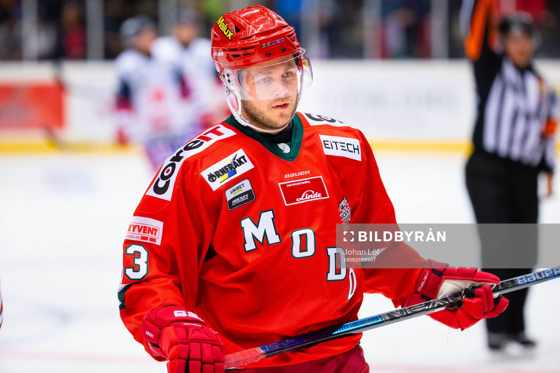 Modos Tommy Enström