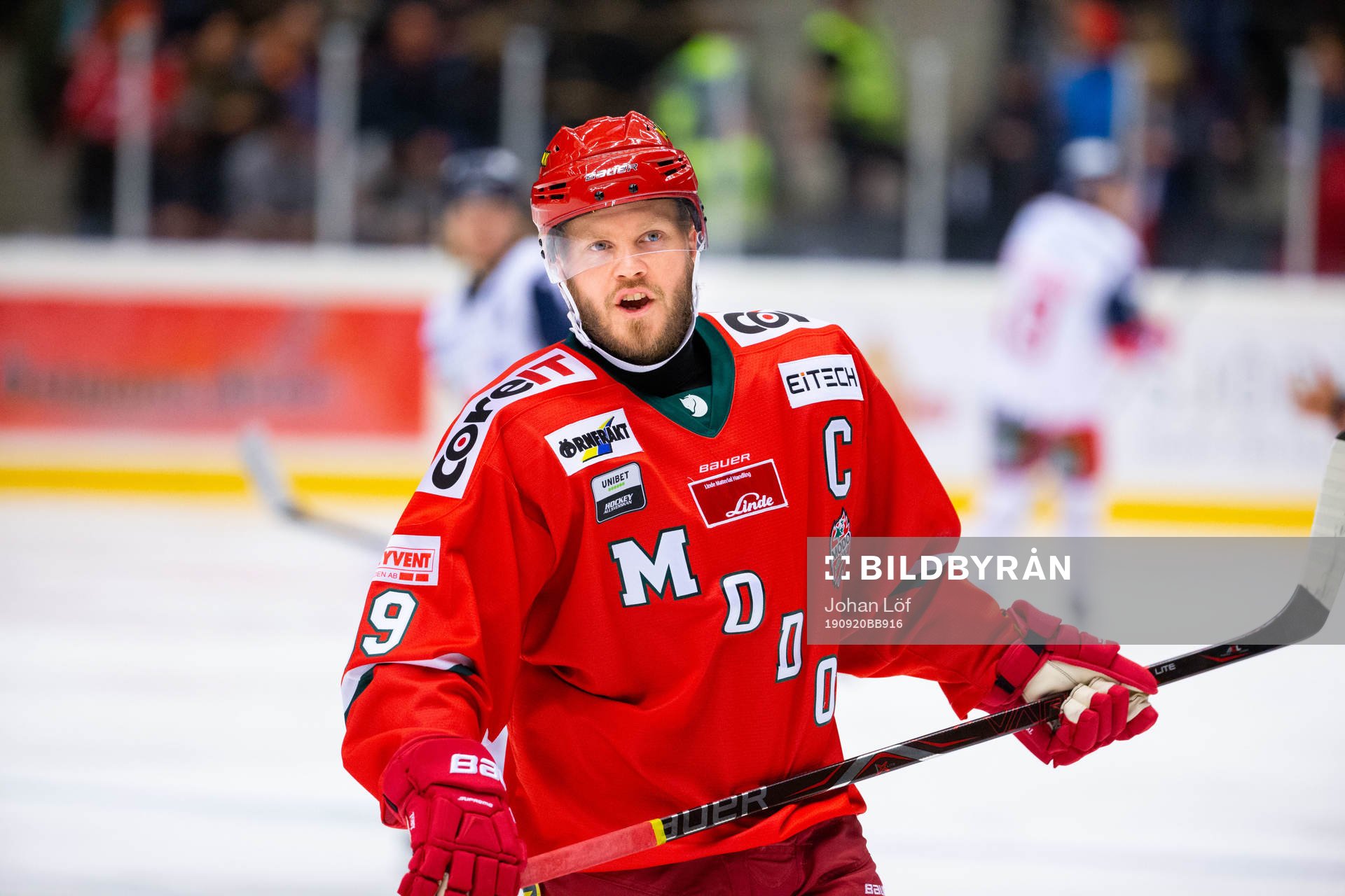 Modos Tobias Enström