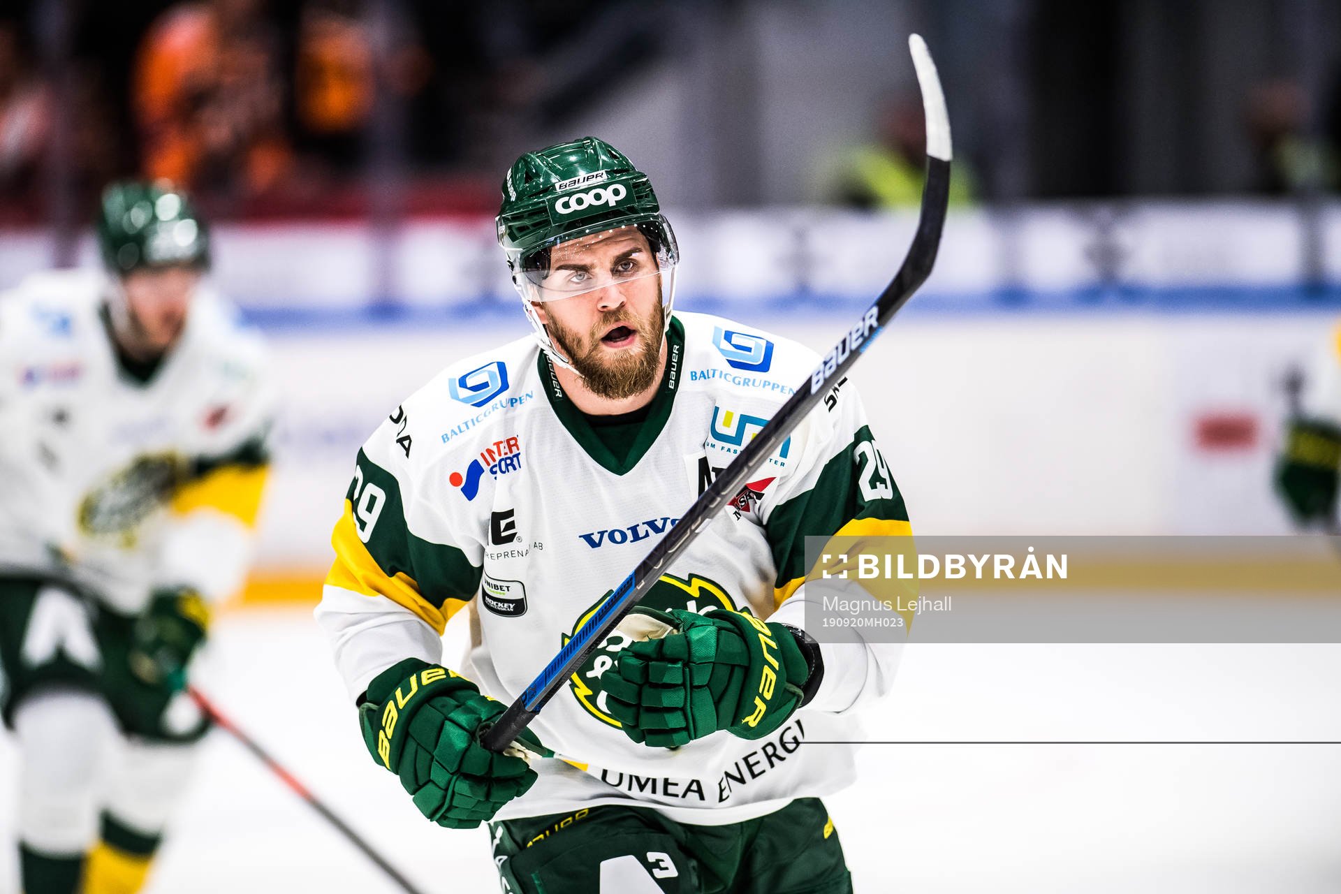 Björklövens Alexander Wiklund