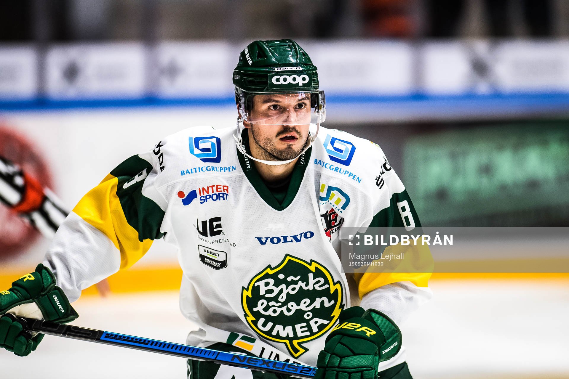 Björklövens Alexander Deilert