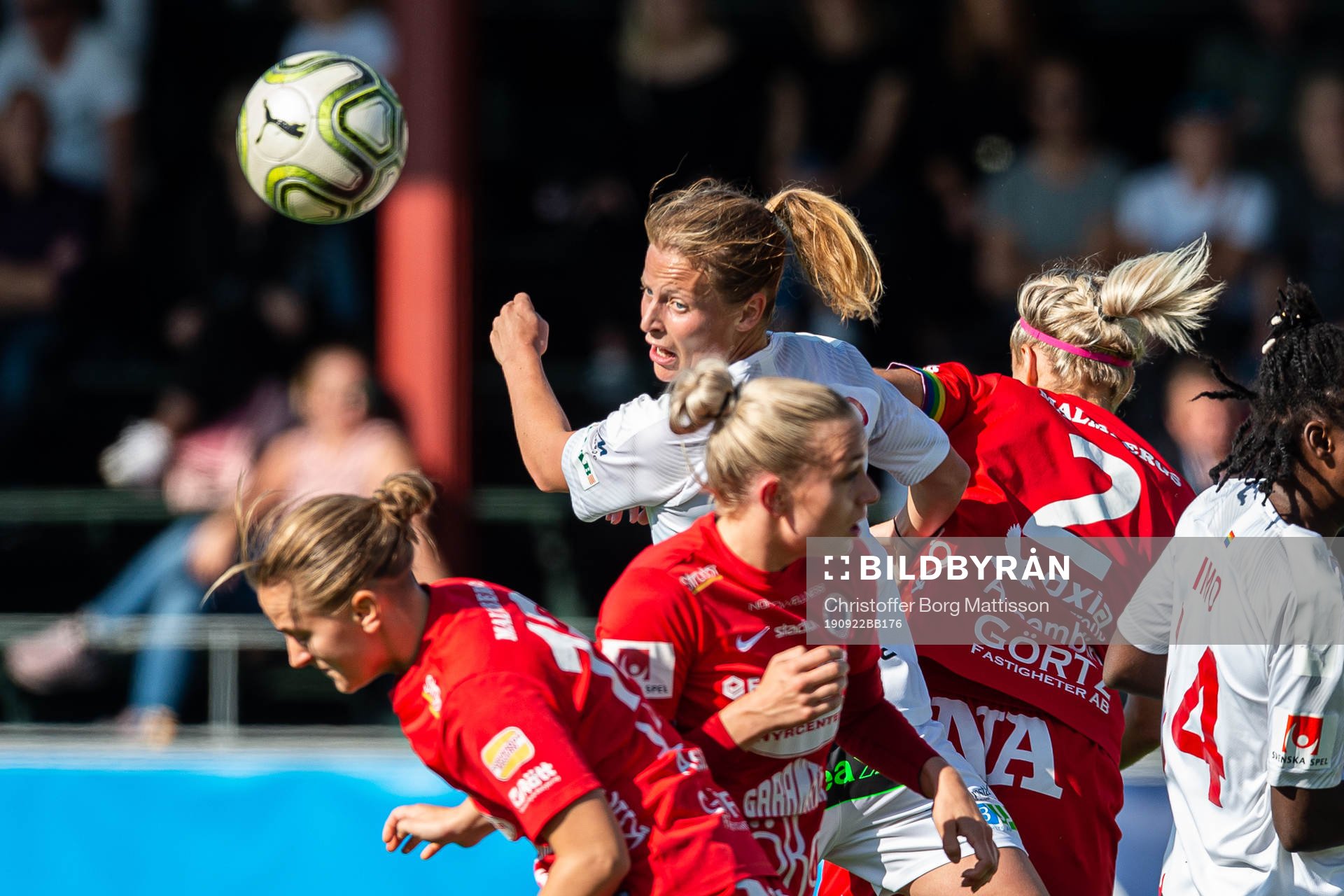 Rosengårds Anna Anvegård