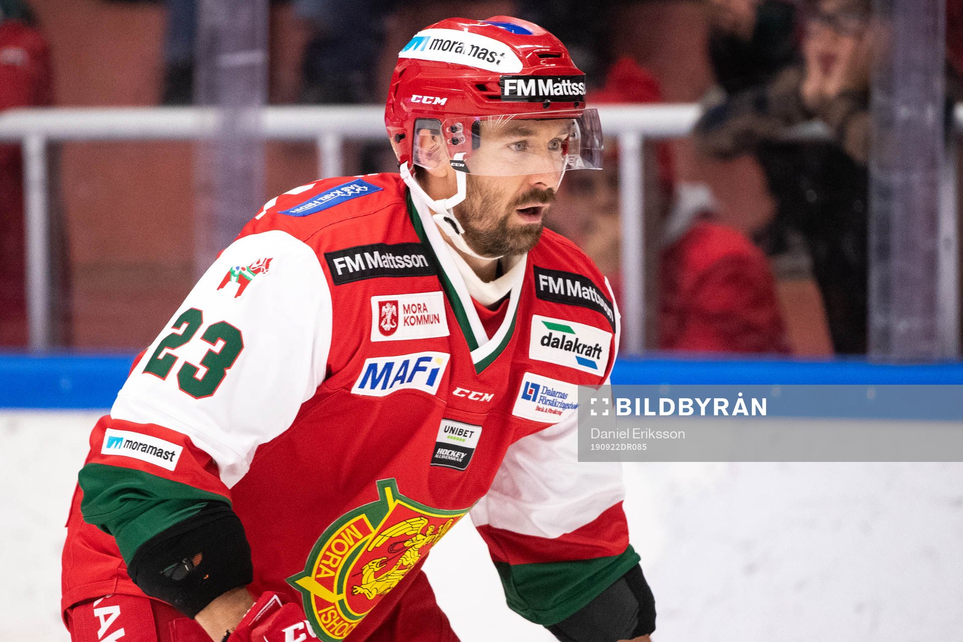 Moras Tomas Skogs