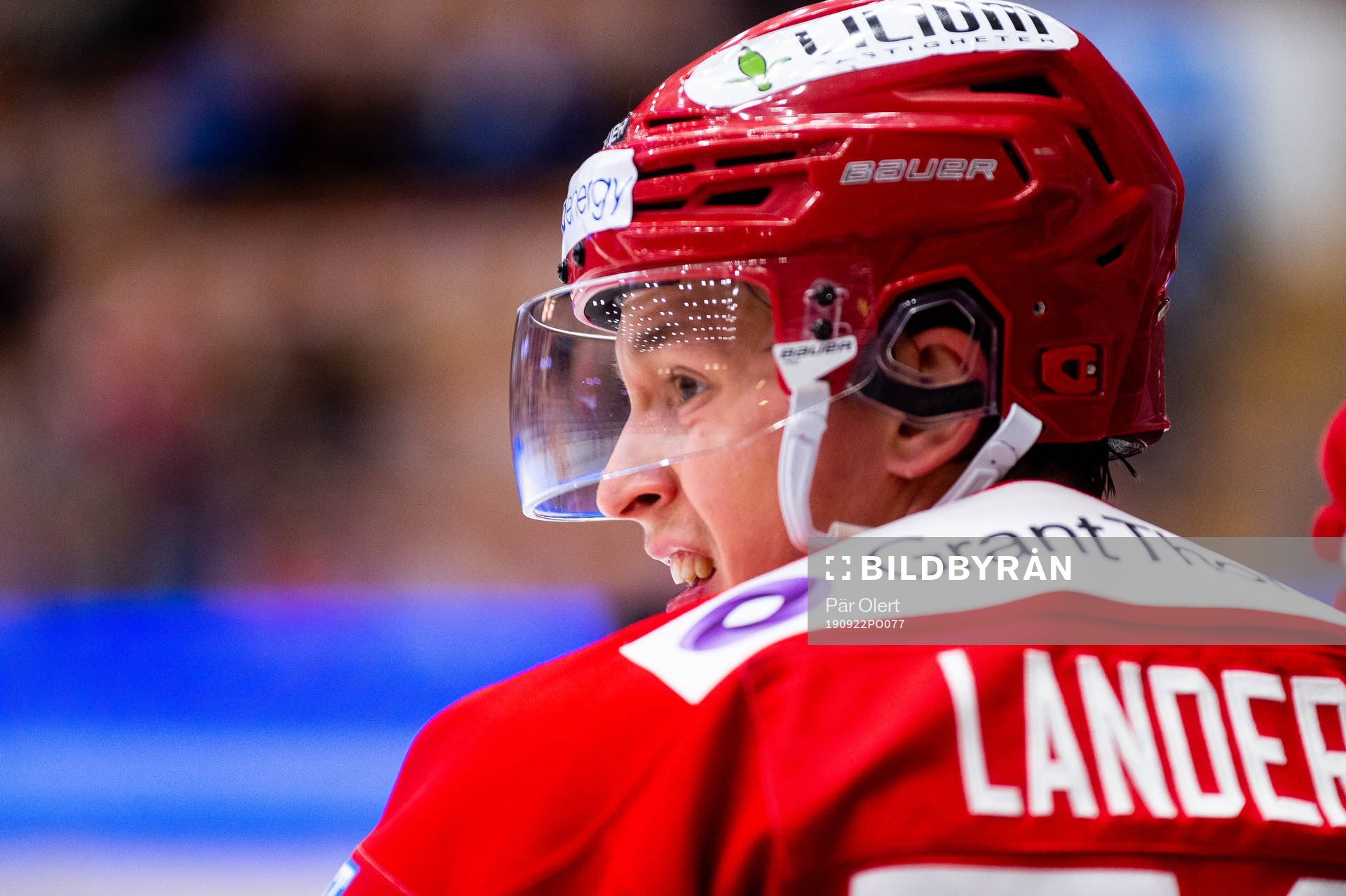 Timrås Filip Lander