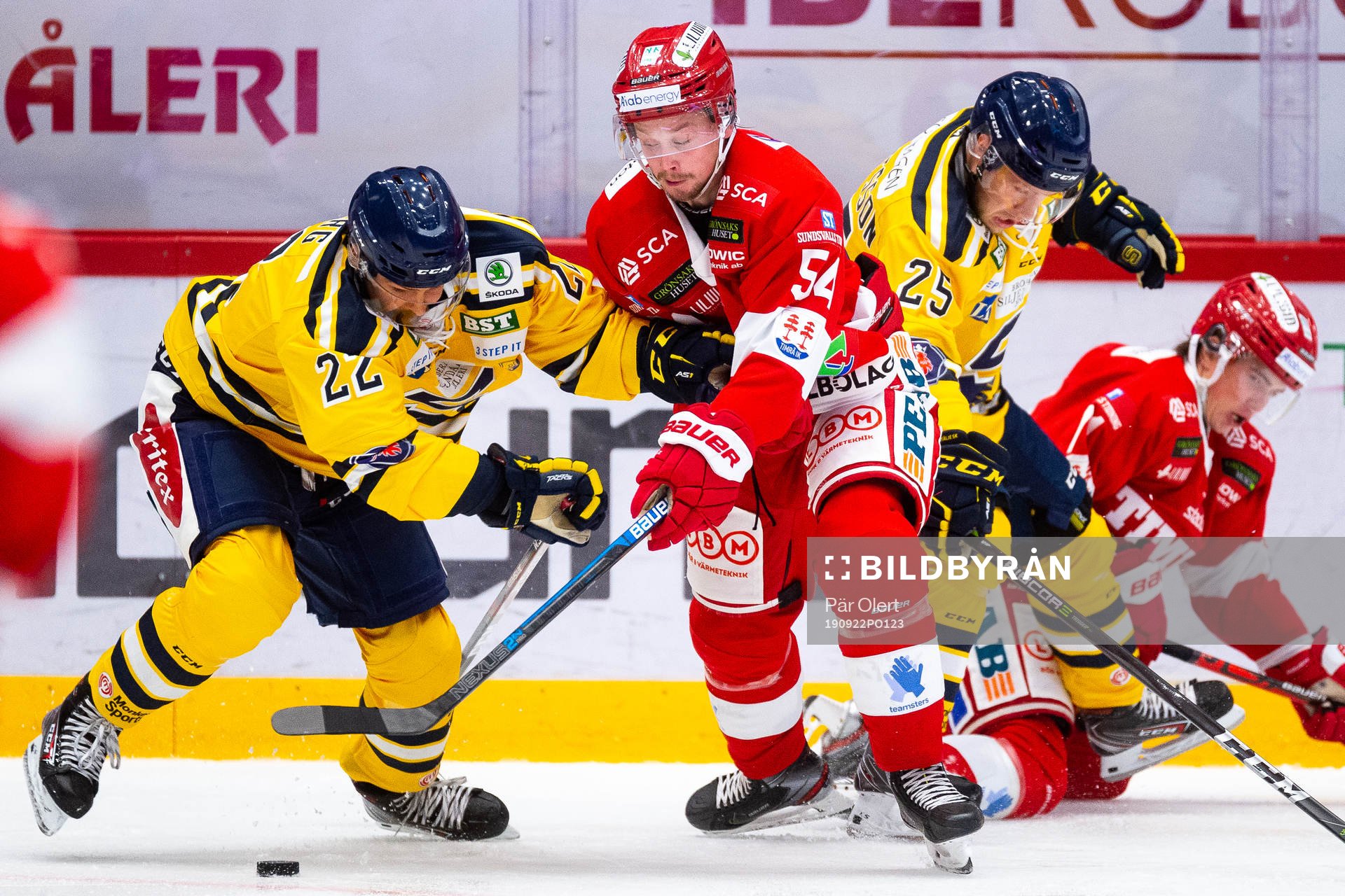 Södertäljes David Berg och Timrås Jonathan Dahlén