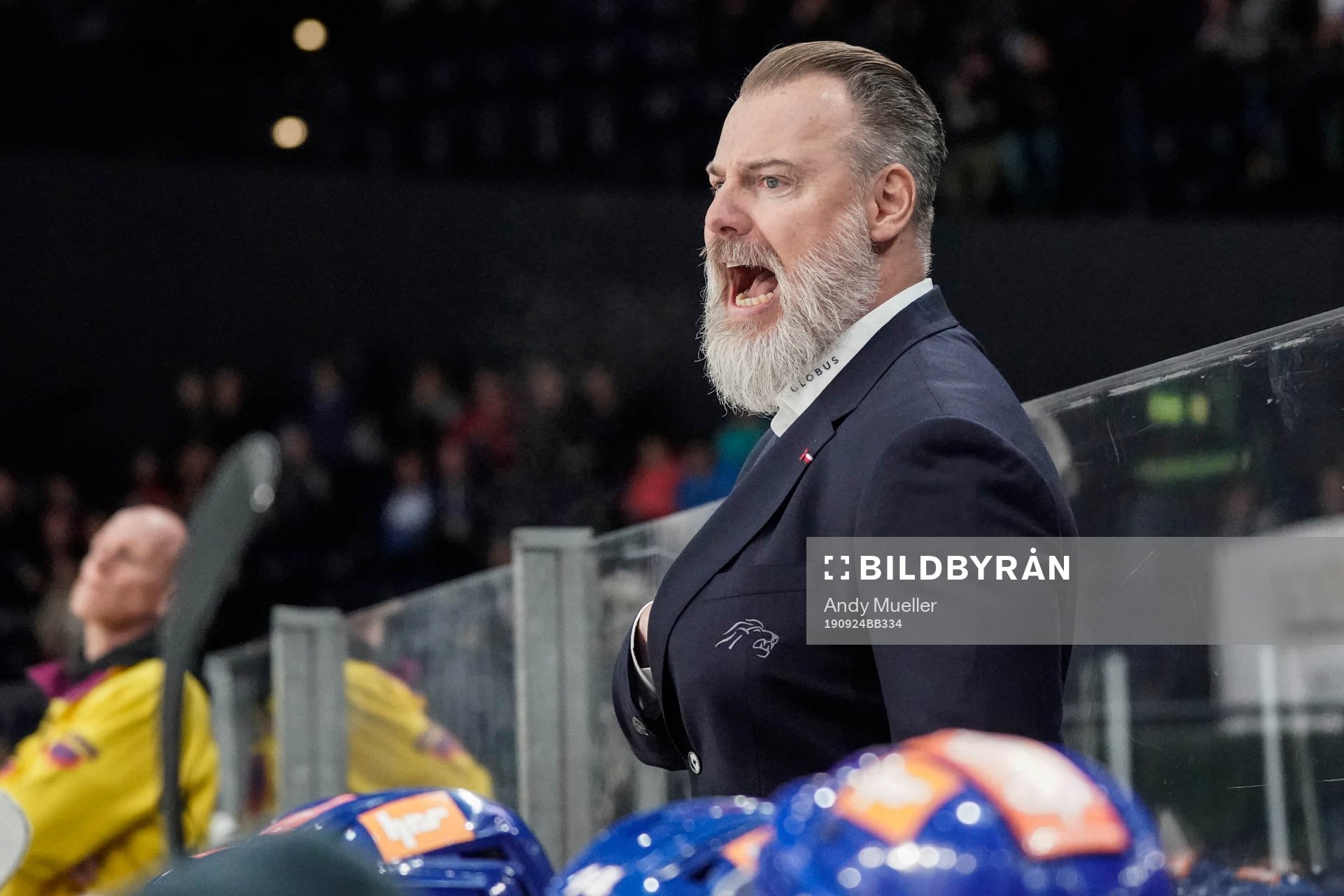 Ishockey, Österrikiska ligan, ZSC Lions -