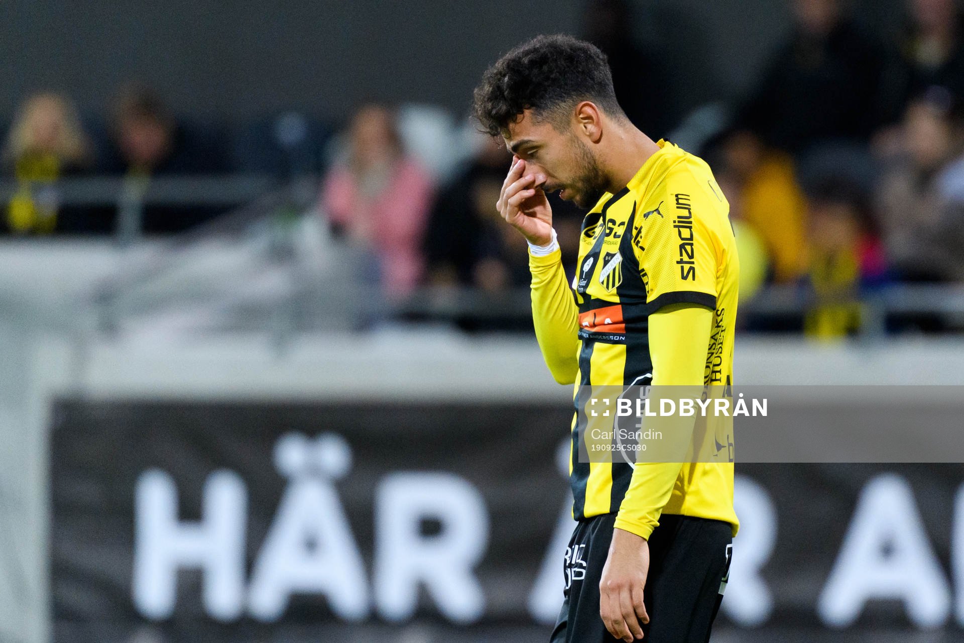 Häckens Daleho Irandust deppar