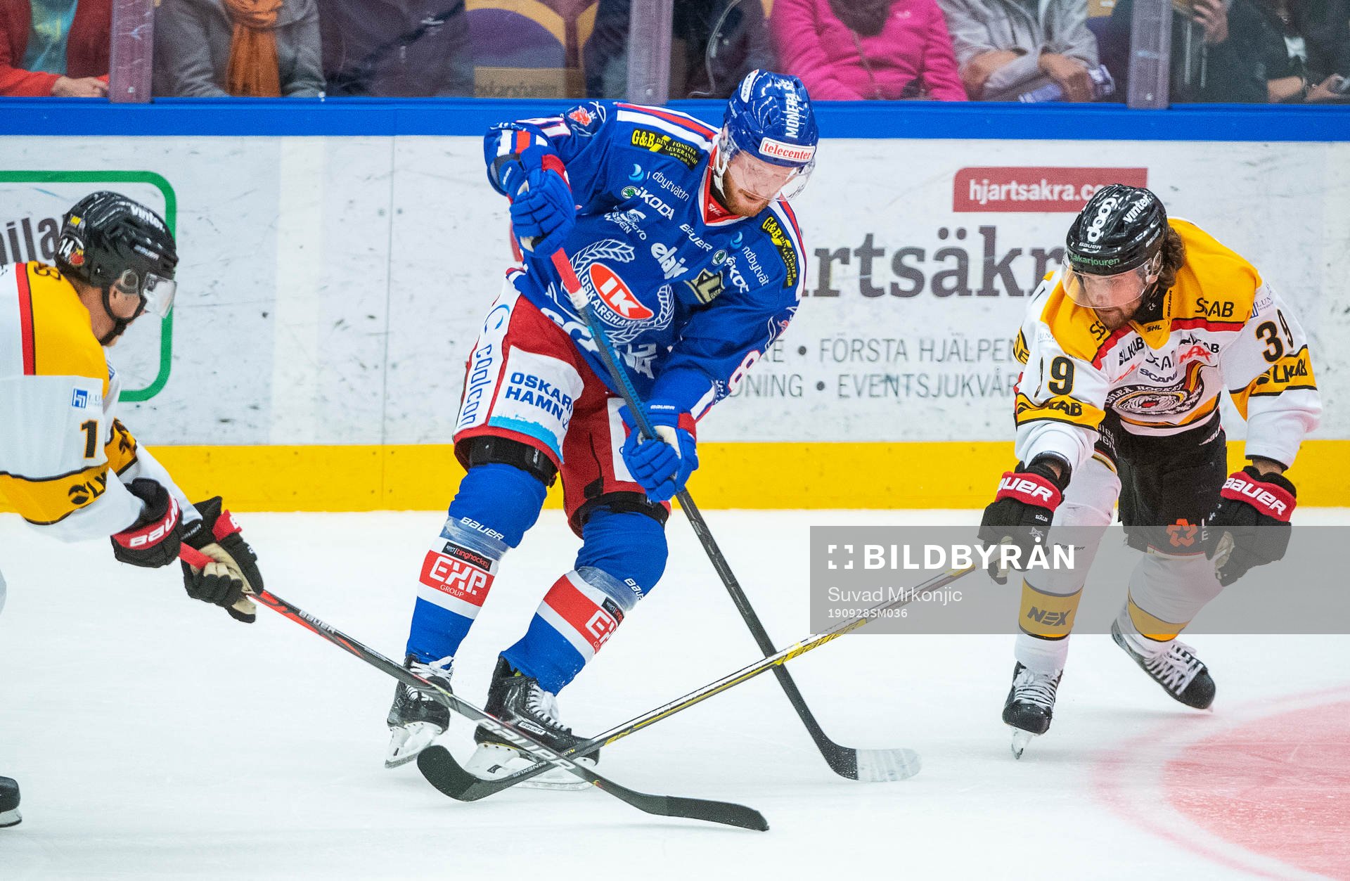 Oskarshamns Alexander Reichenberg och Luleås Pontus Själin
