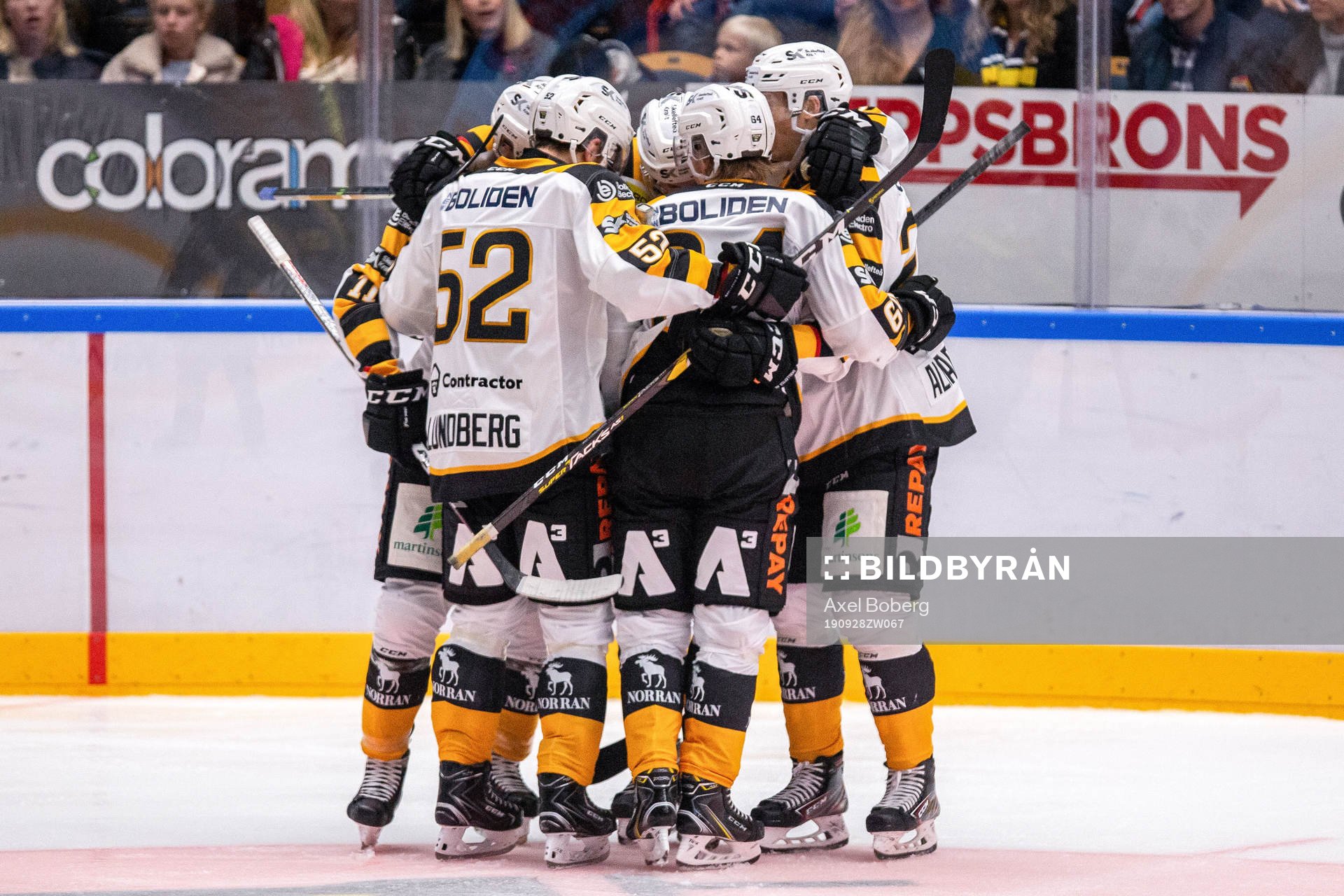 Spelare ur Skellefteå jublar