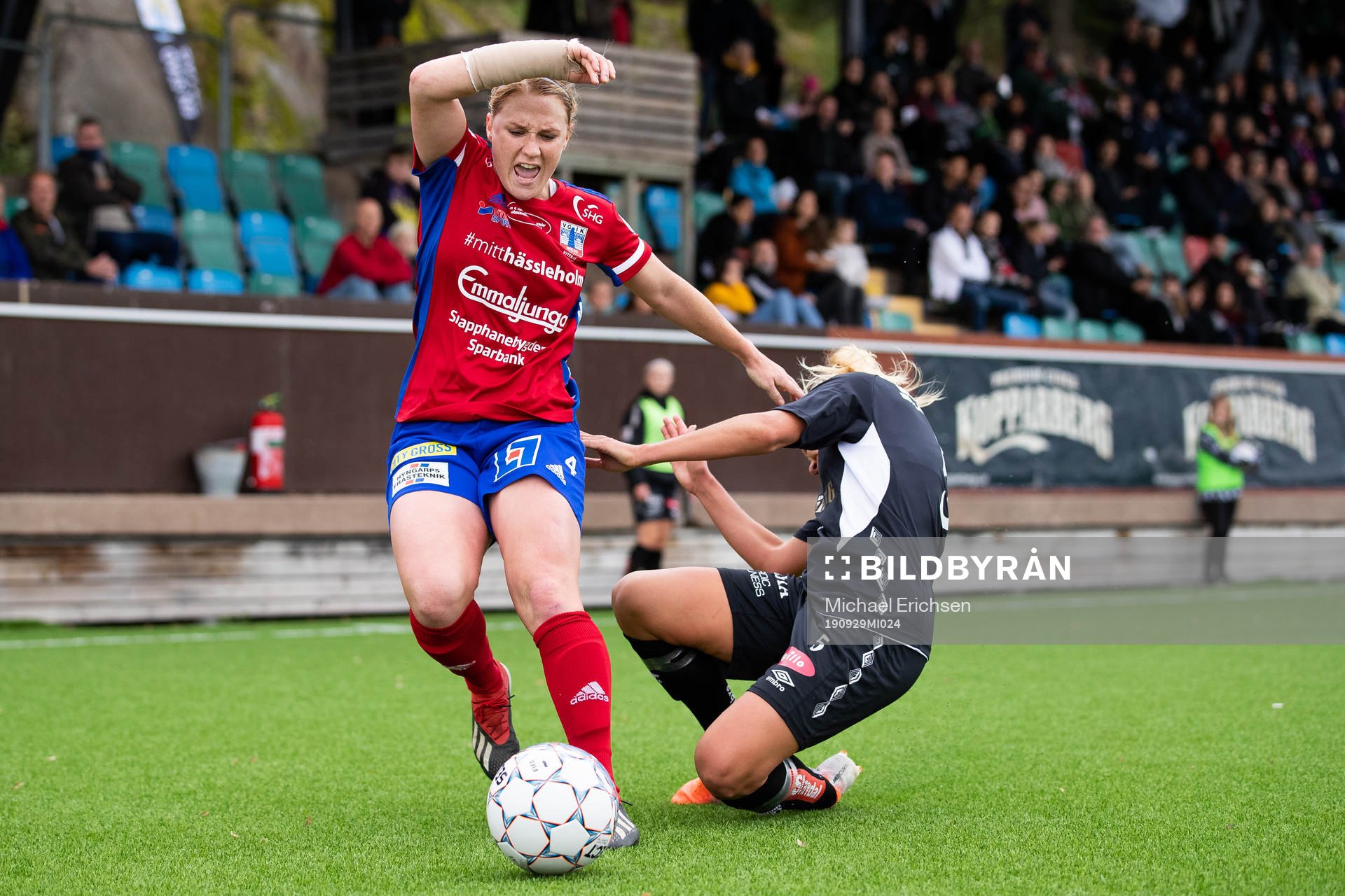 Vittsjös Catherine Bott