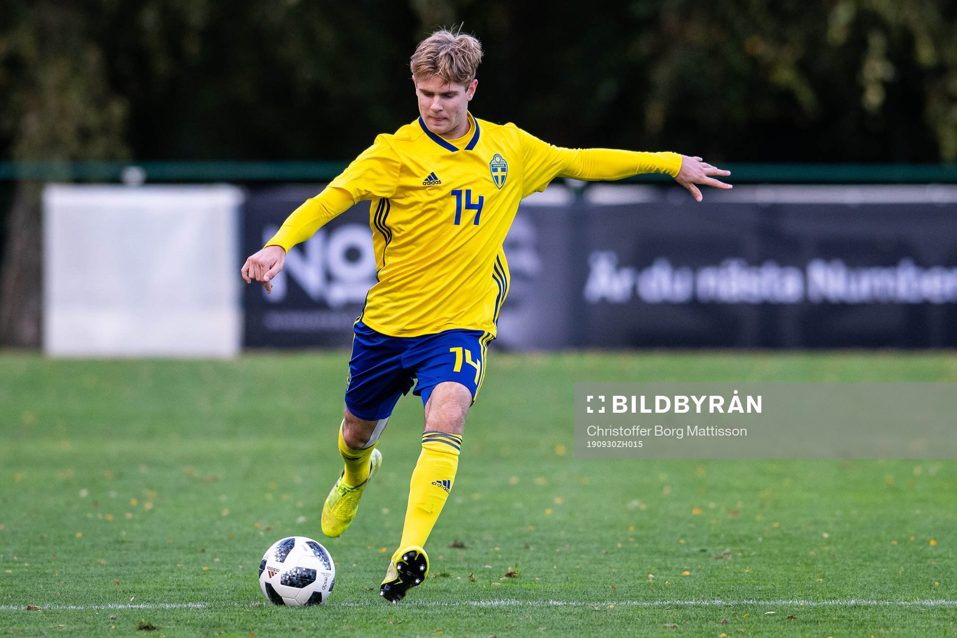 Sveriges Robin Glavak