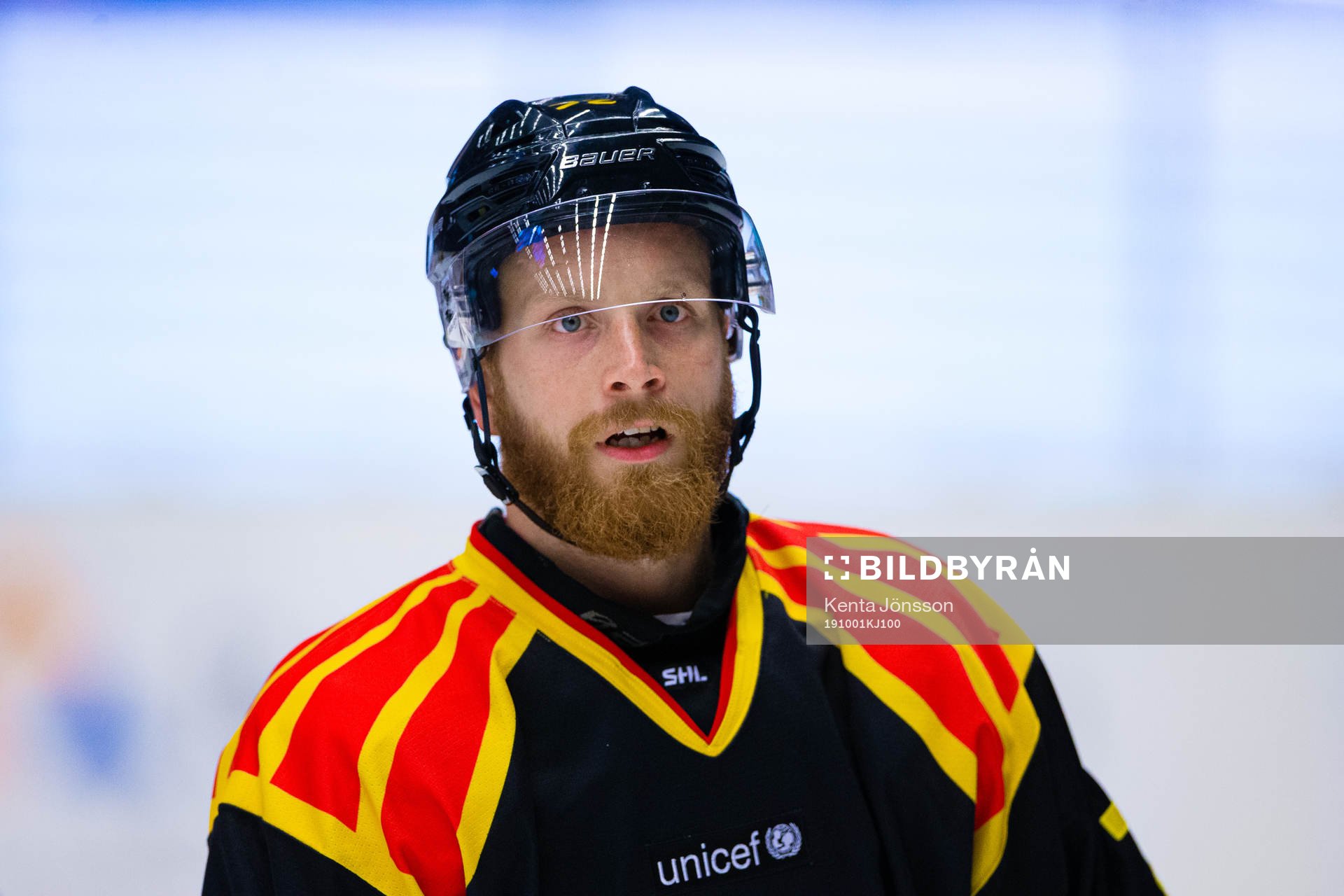 Brynäs Joachim Rodin