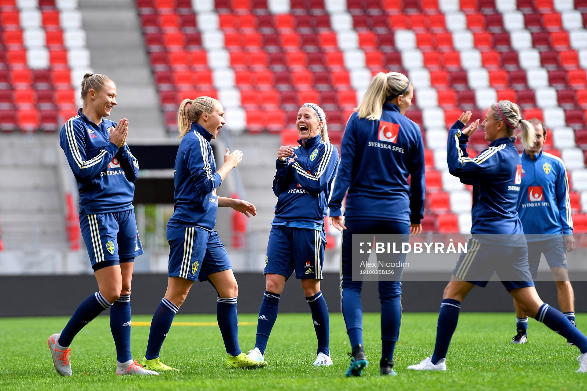 Players of Sweden