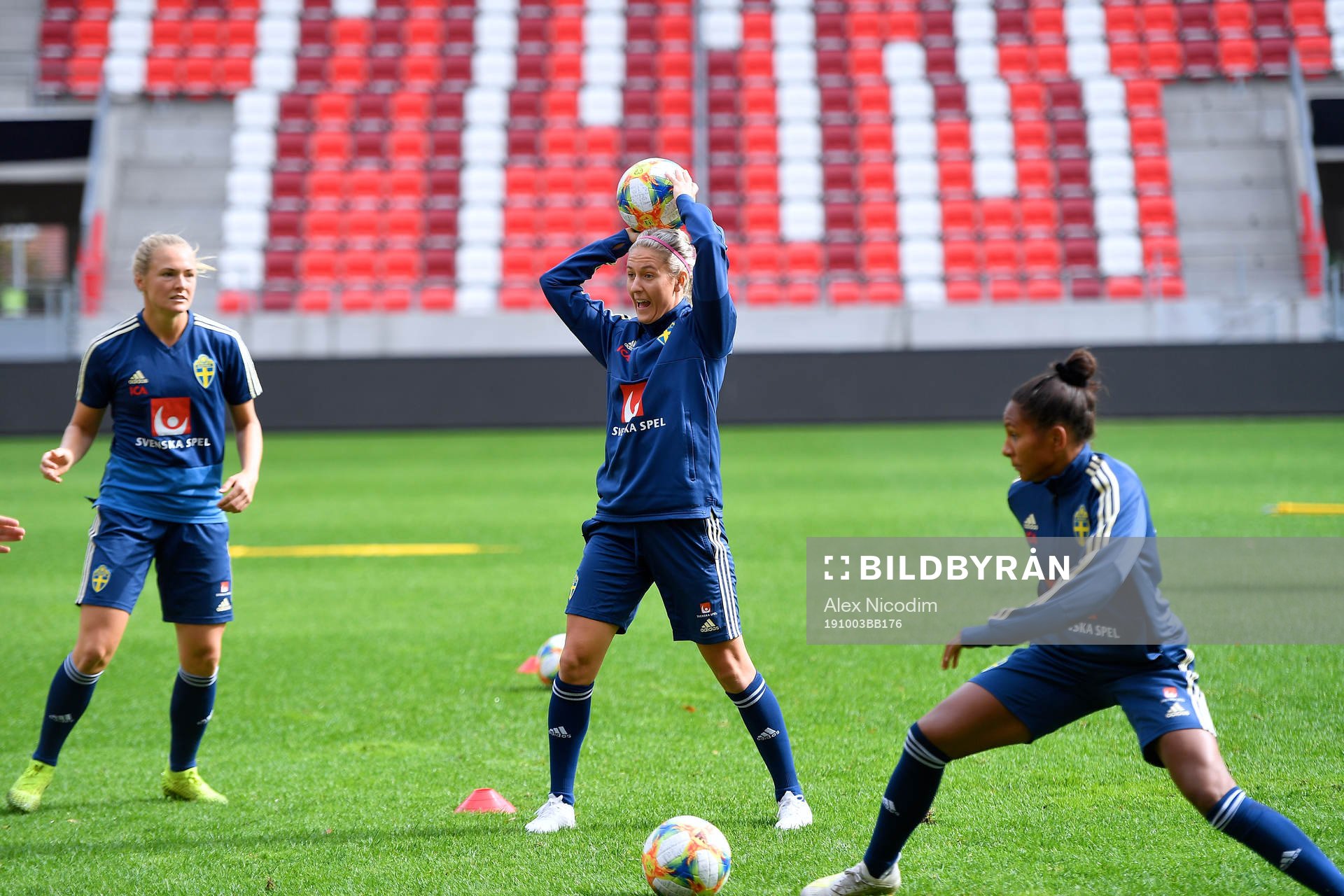 Player of Sweden