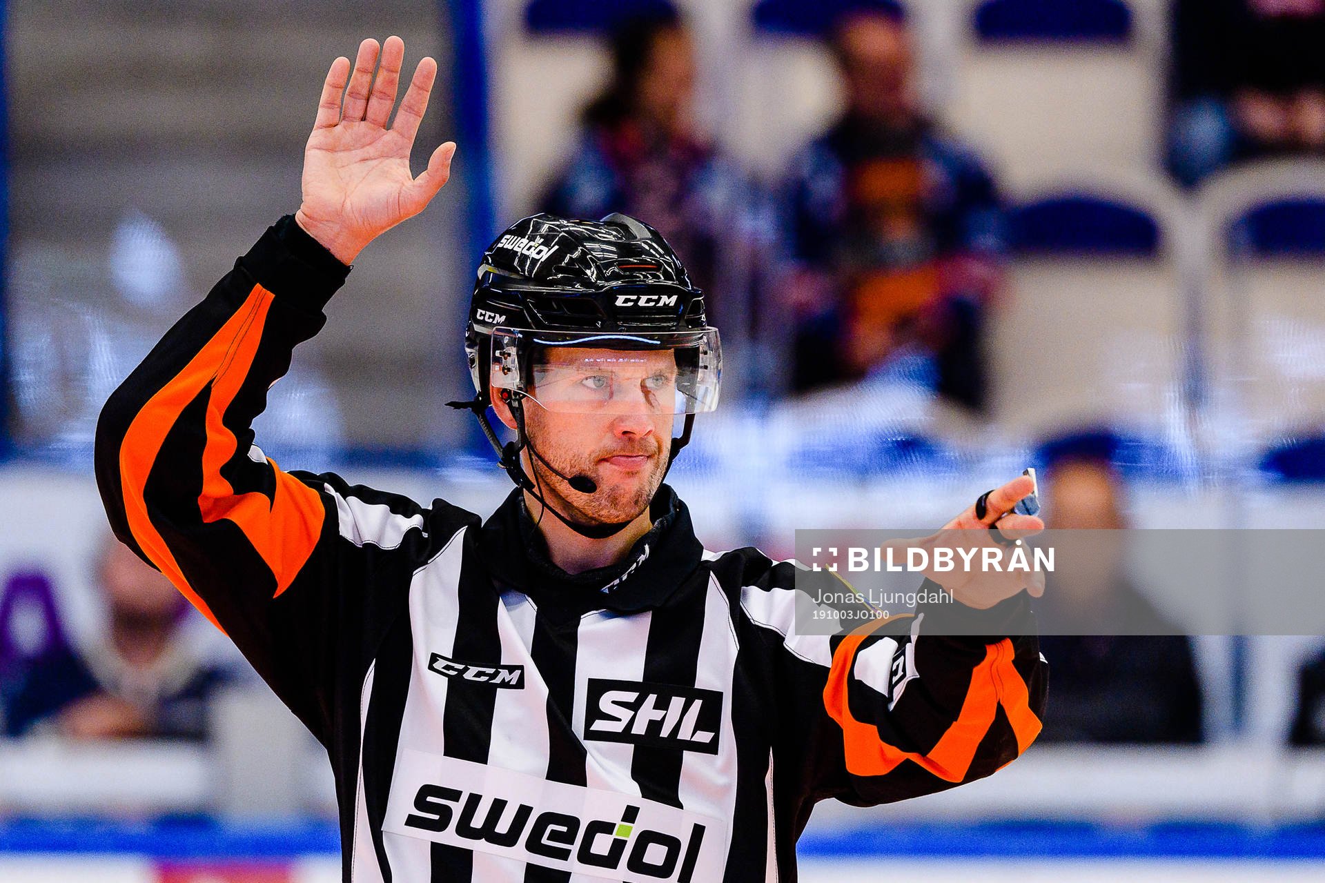 Domare Johan Magnusson