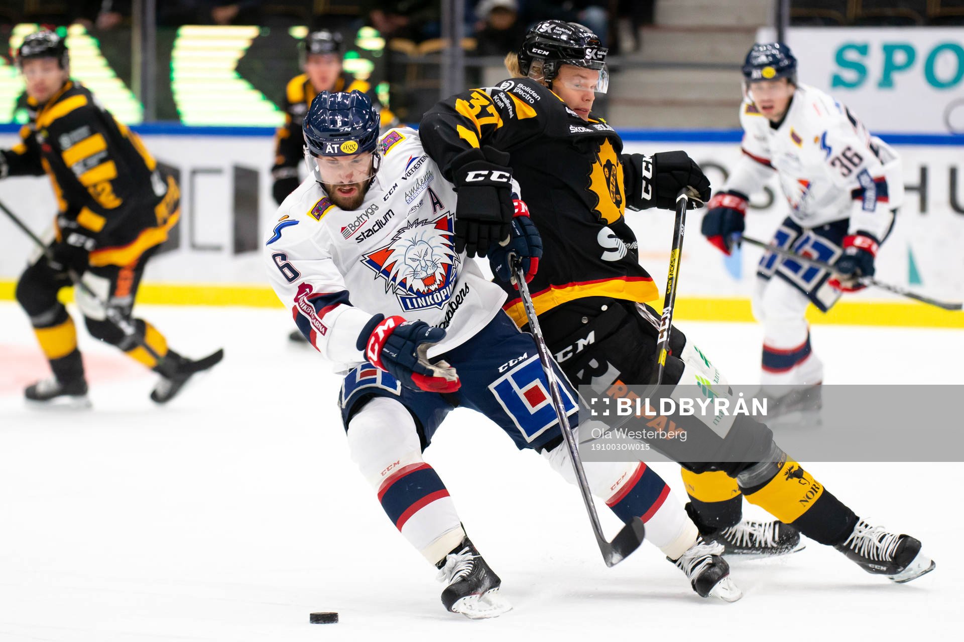 Linköpings Jonas Holös