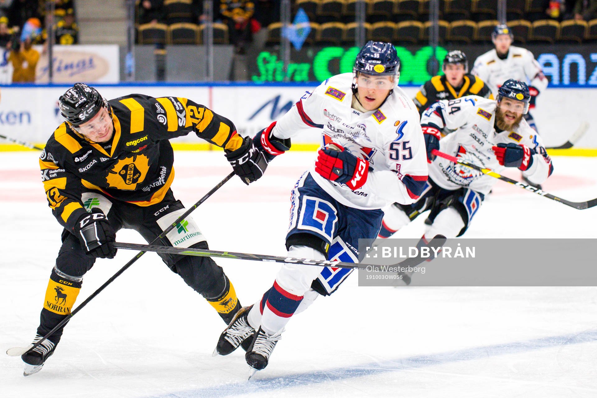 Skellefteås Adam Pettersson