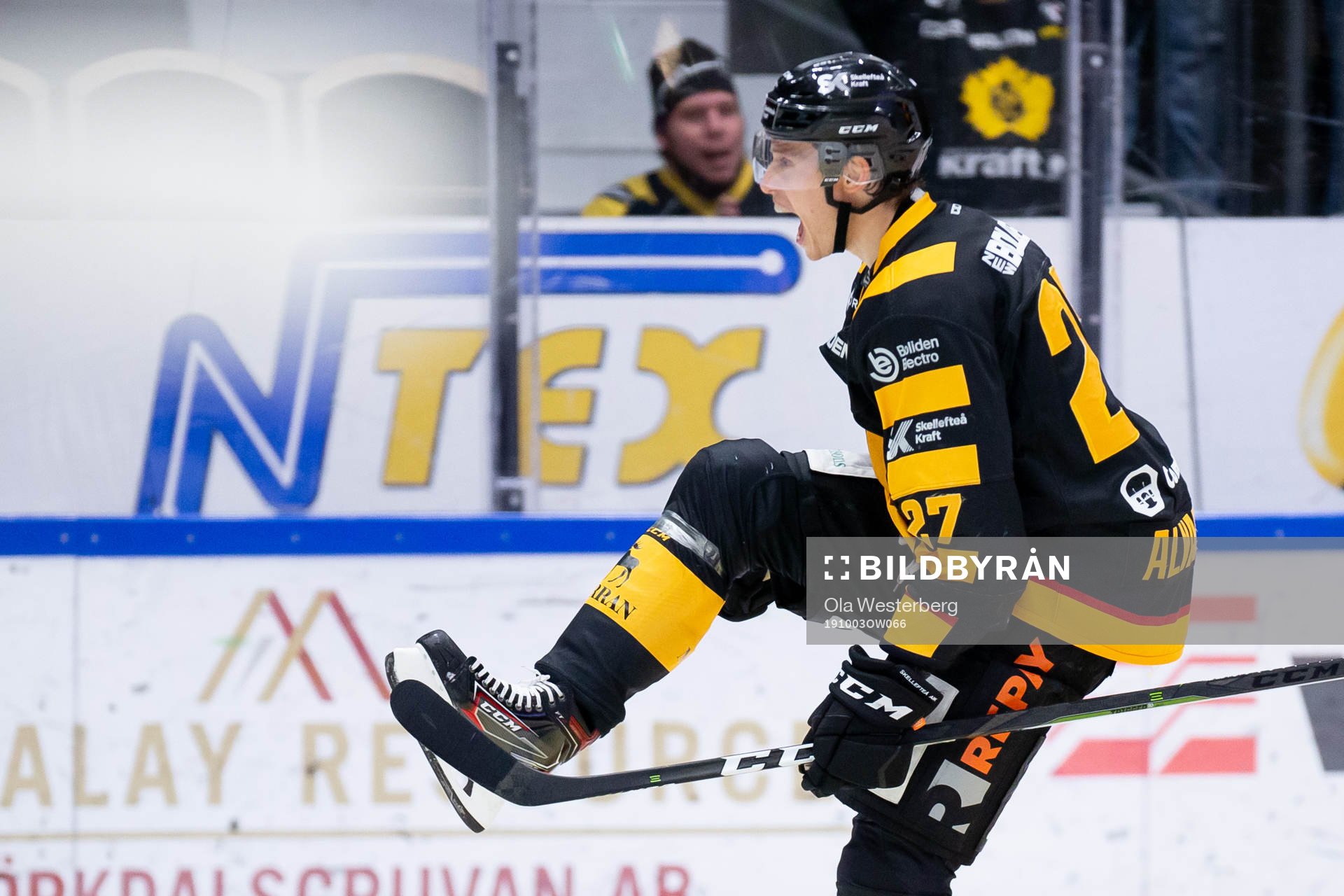 Skellefteås Robin Alvarez jublar