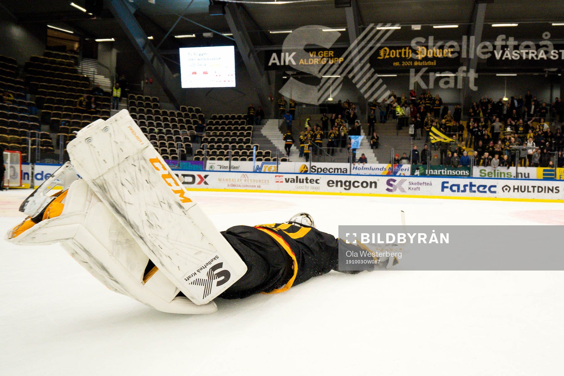 Skellefteås målvakt Gustaf Lindvall jublar