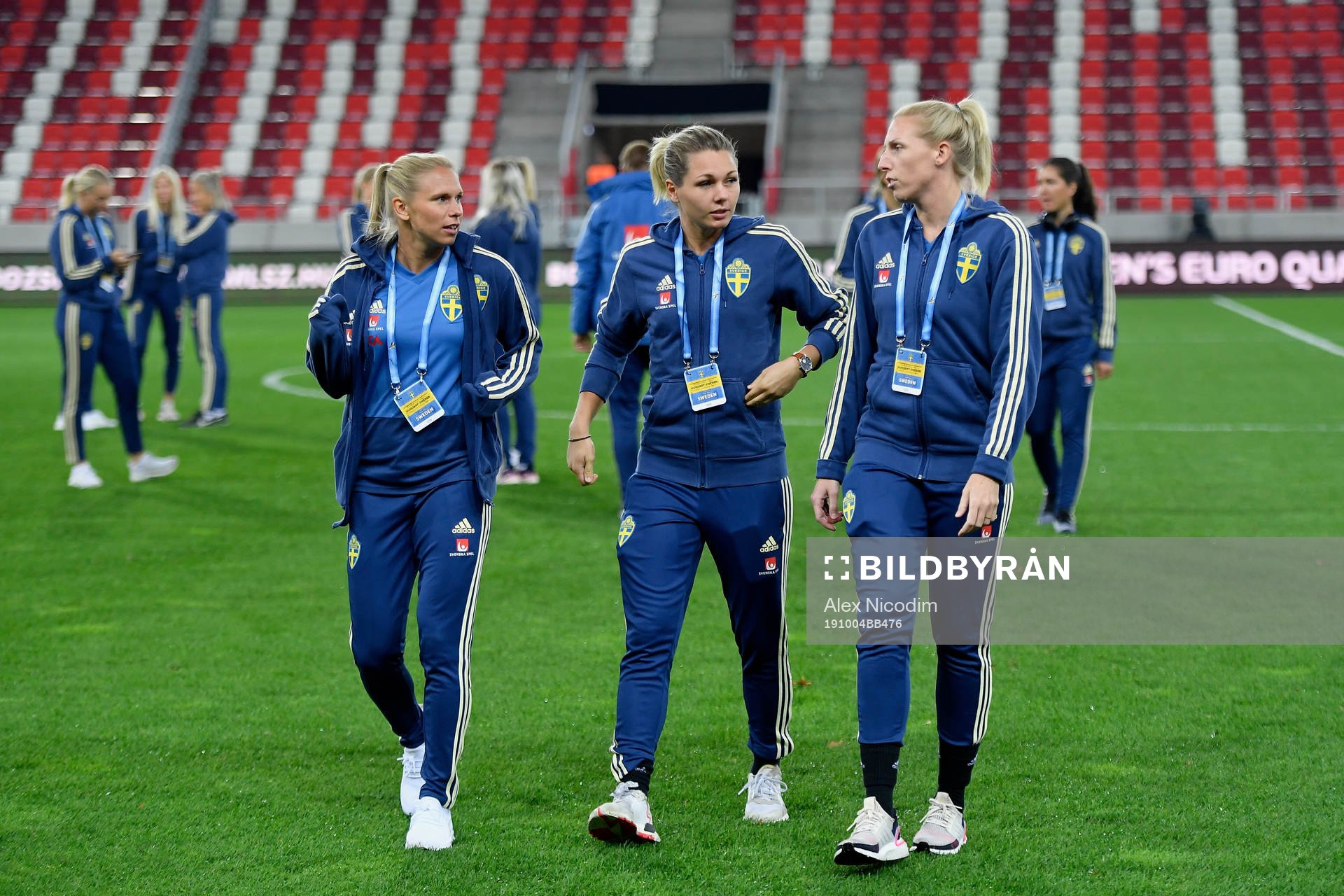 Players of Sweden inspects the pitch of the DVTK Stadium