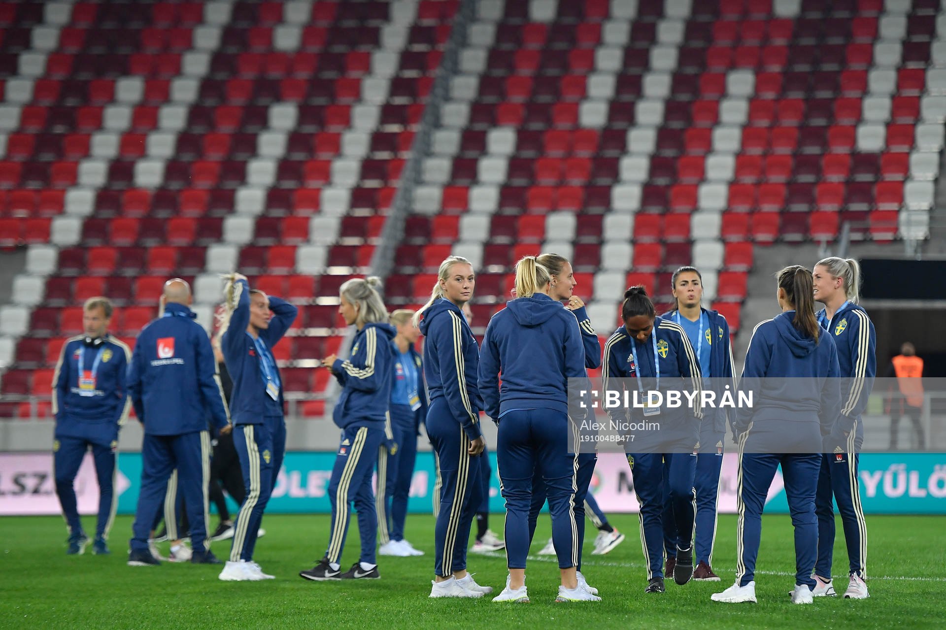 Players of Sweden inspects the pitch