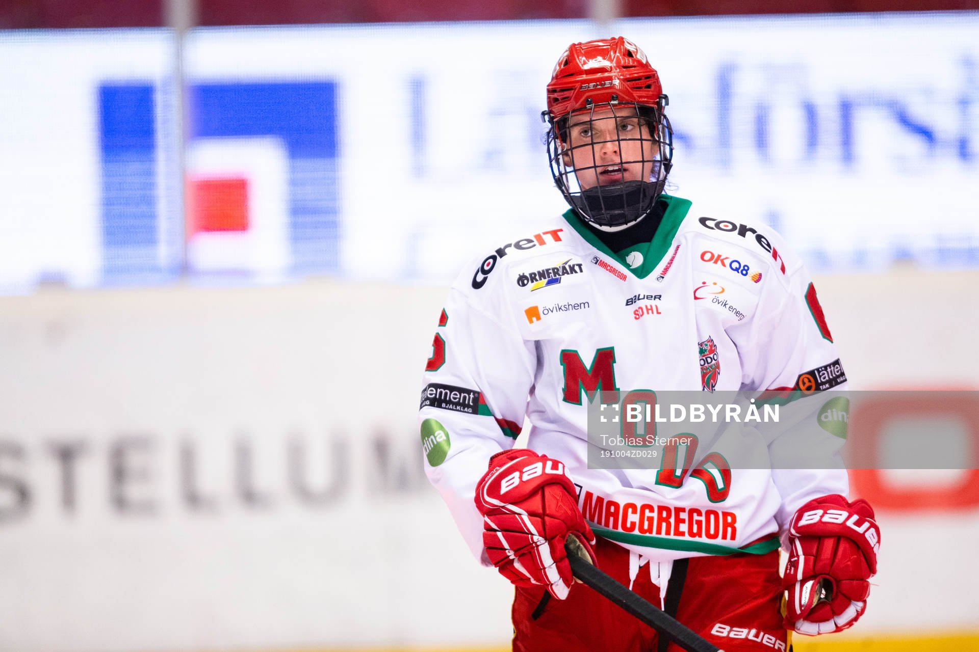 Modos Gracen Hirschy