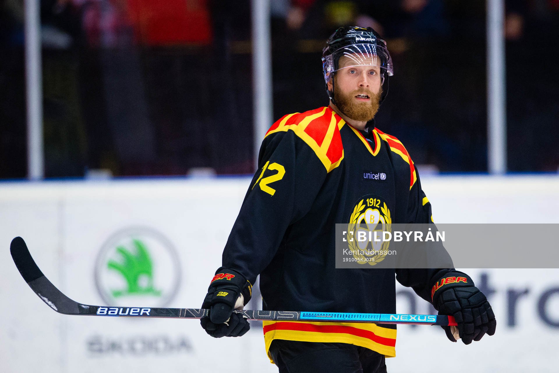 Brynäs Joachim Rodin