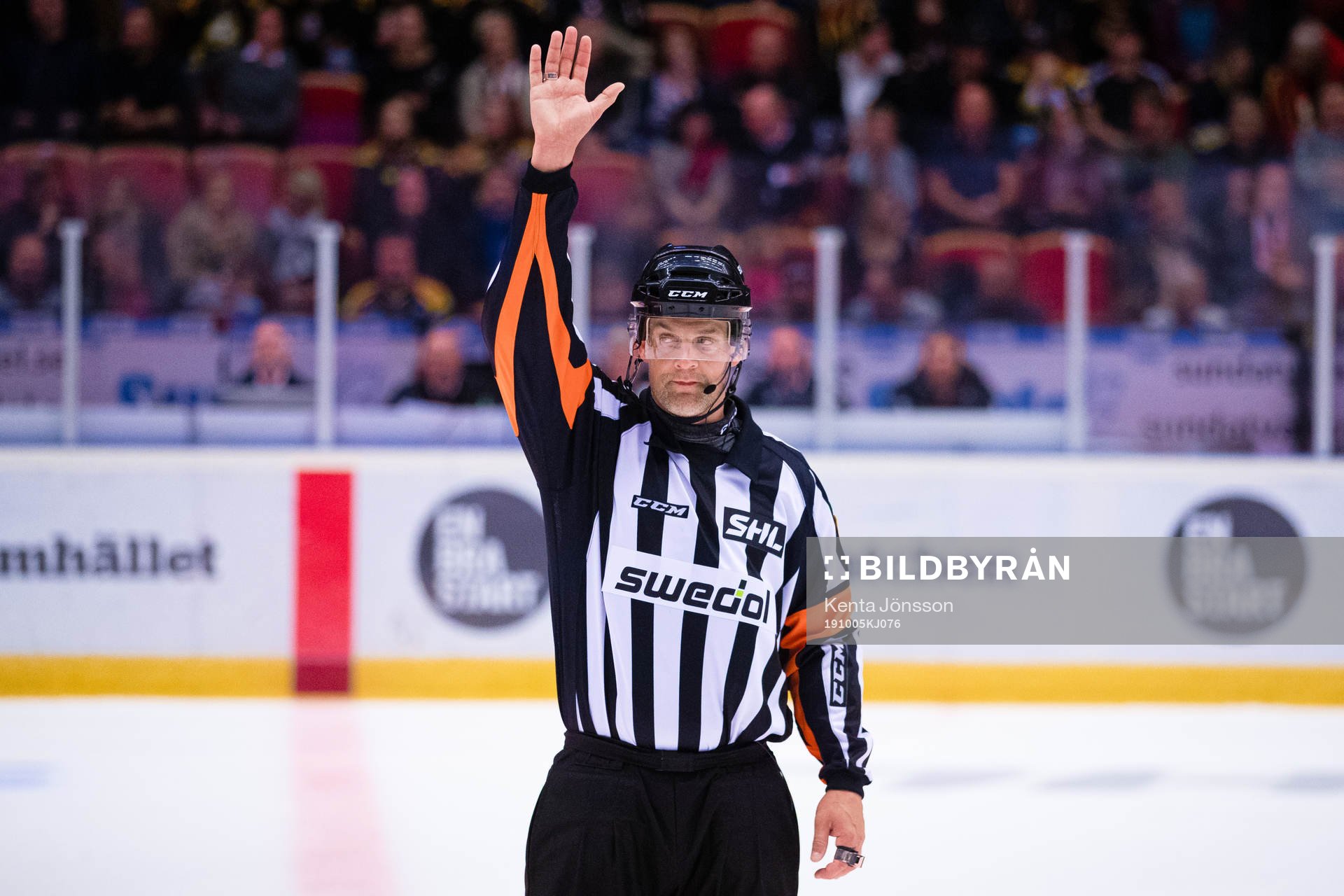 Domare Mikael Nord