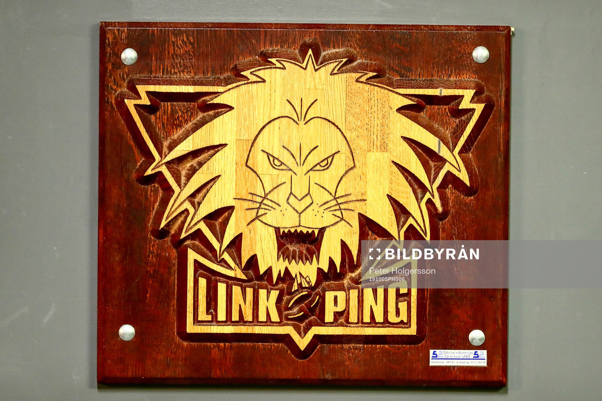 Linköpings emblem