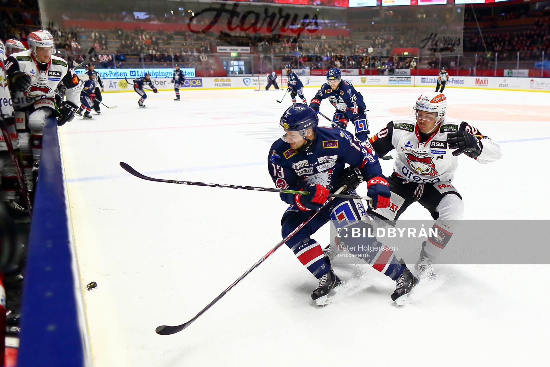Linköpings Andrew Gordon och Malmö Redhawks Henrik Hetta