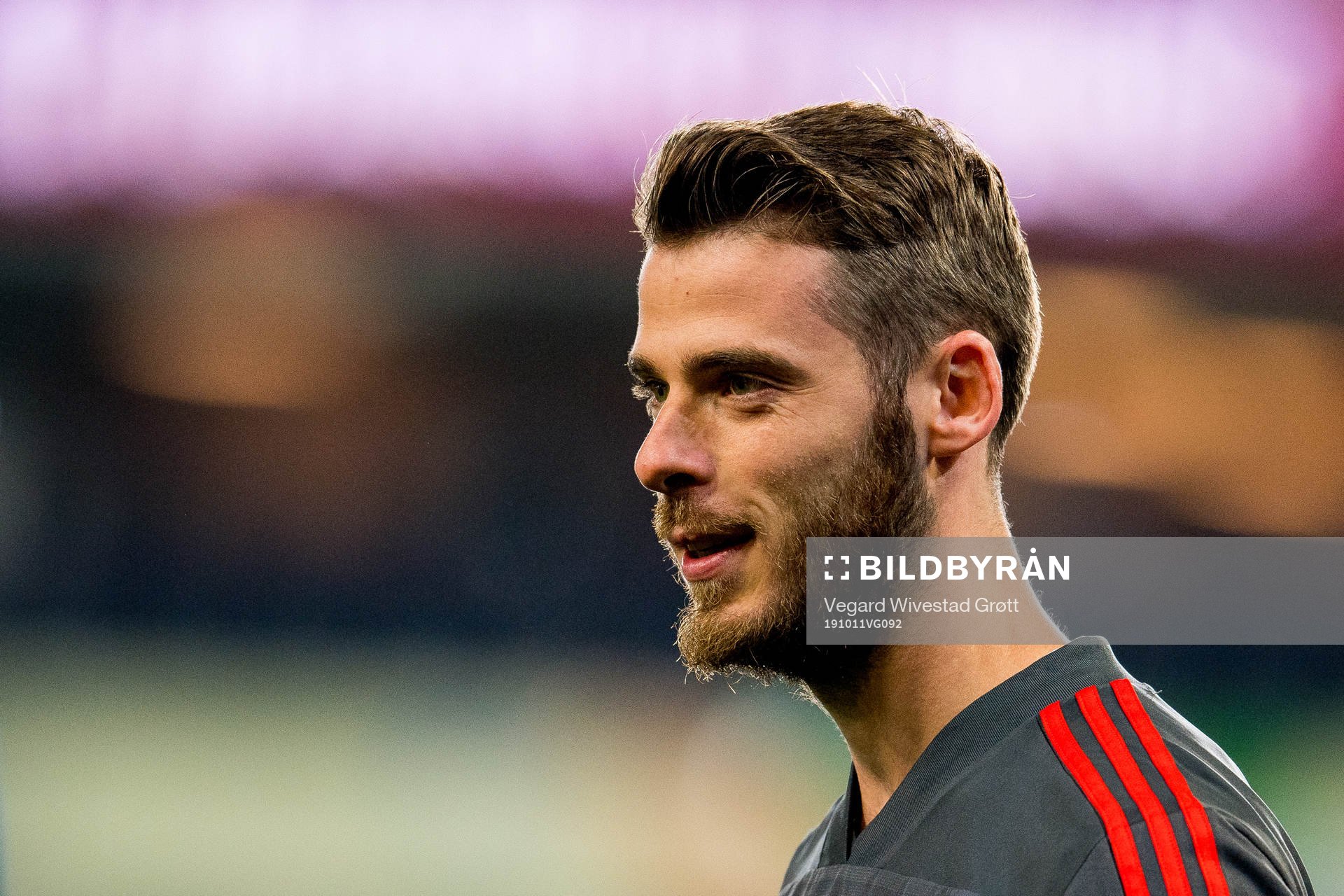 Goalkeeper David de Gea of Spain