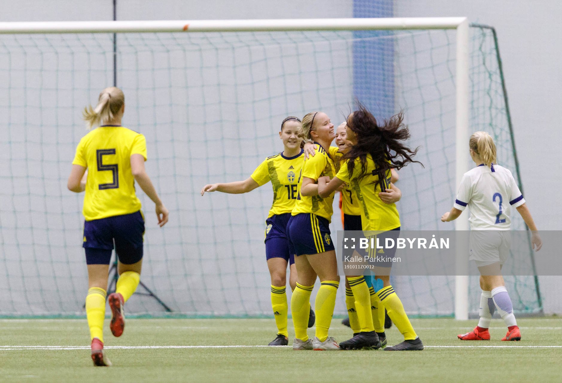 Team Sweden celebrating goal