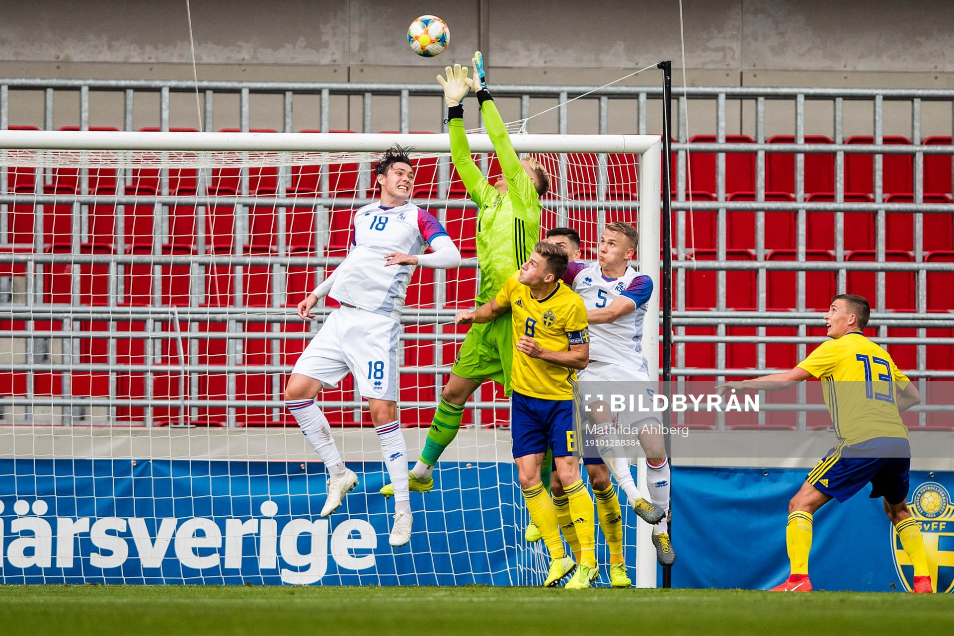 Willum Thor Willumsson of Iceland and Goalkeeper Pontus