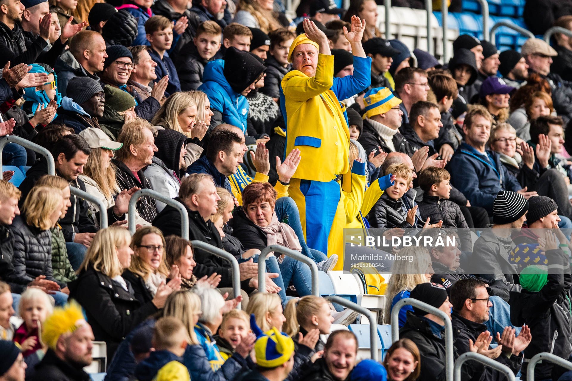 Fans of Sweden