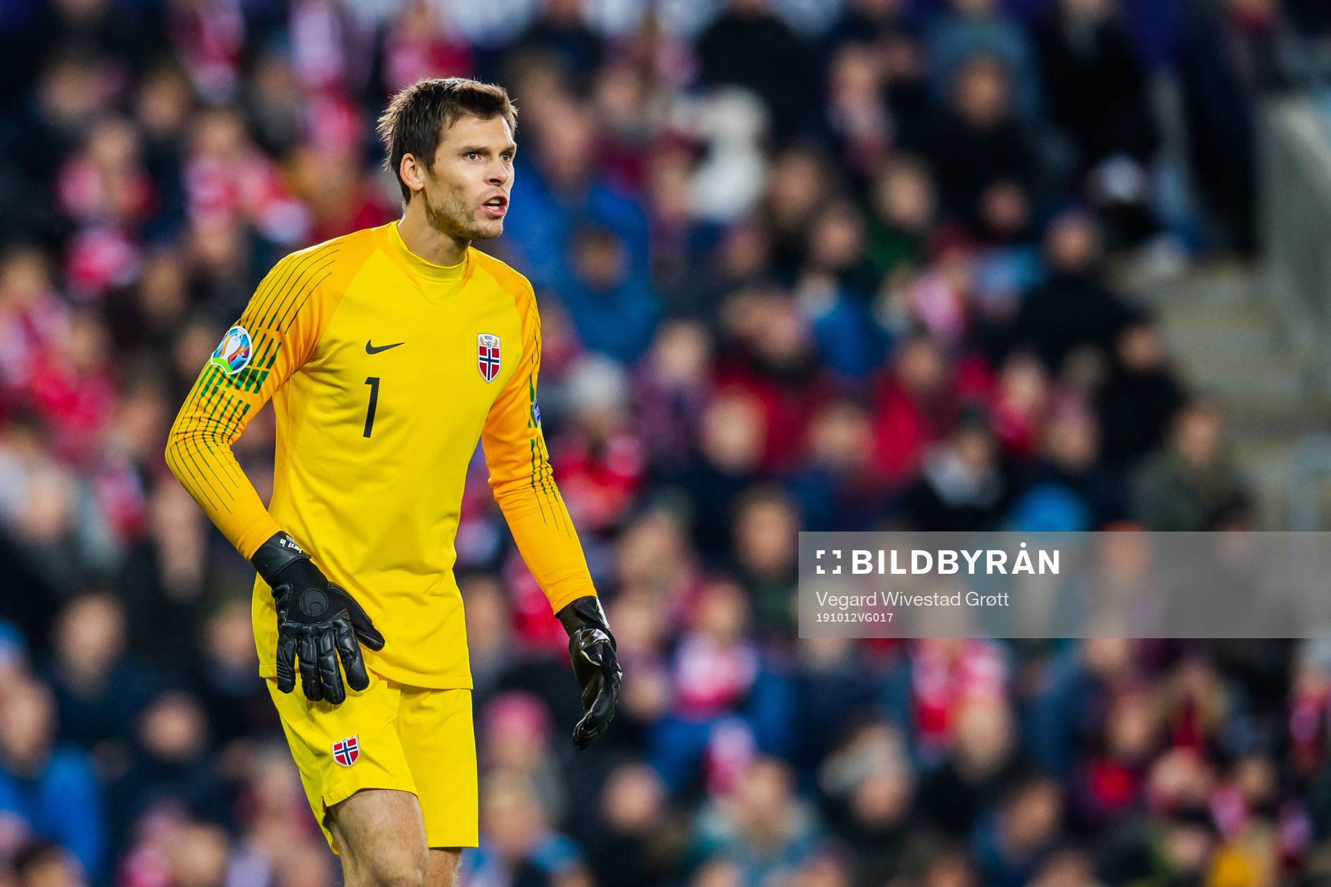 Goalkeeper Rune Almenning Jarstein of Norway