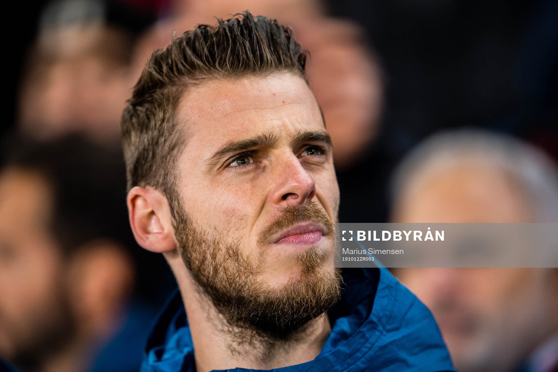 goalkeeper David de Gea
