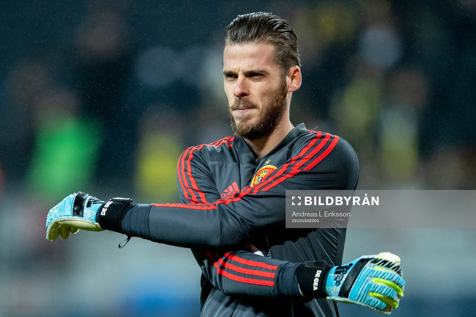 goalkeeper David de Gea of Spain
