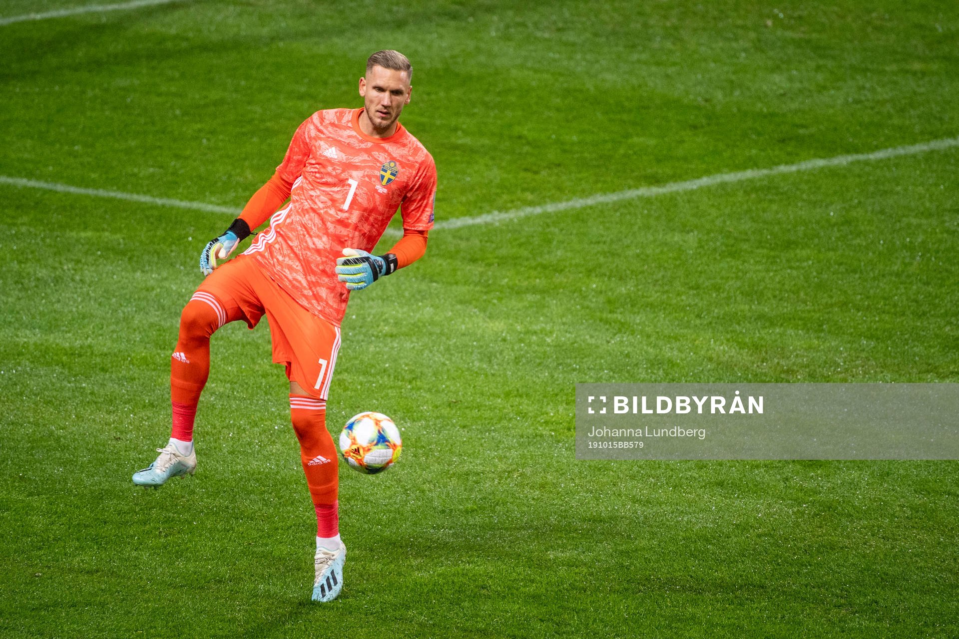 goalkeeper Robin Olsen of Sweden