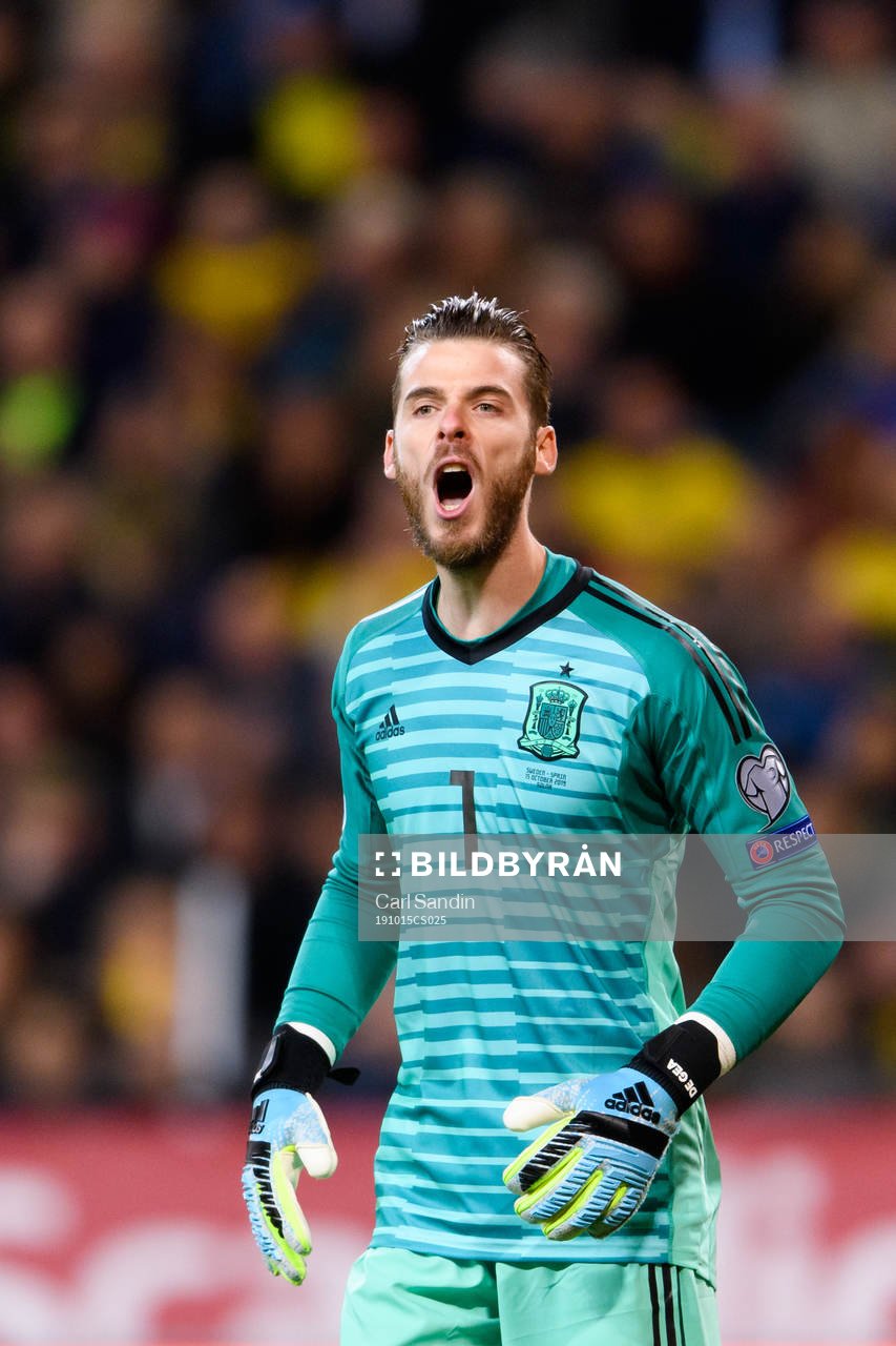 Goalkeeper David de Gea of Spain