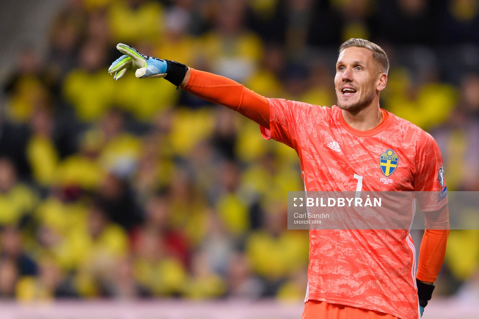 Goalkeeper Robin Olsen of Sweden
