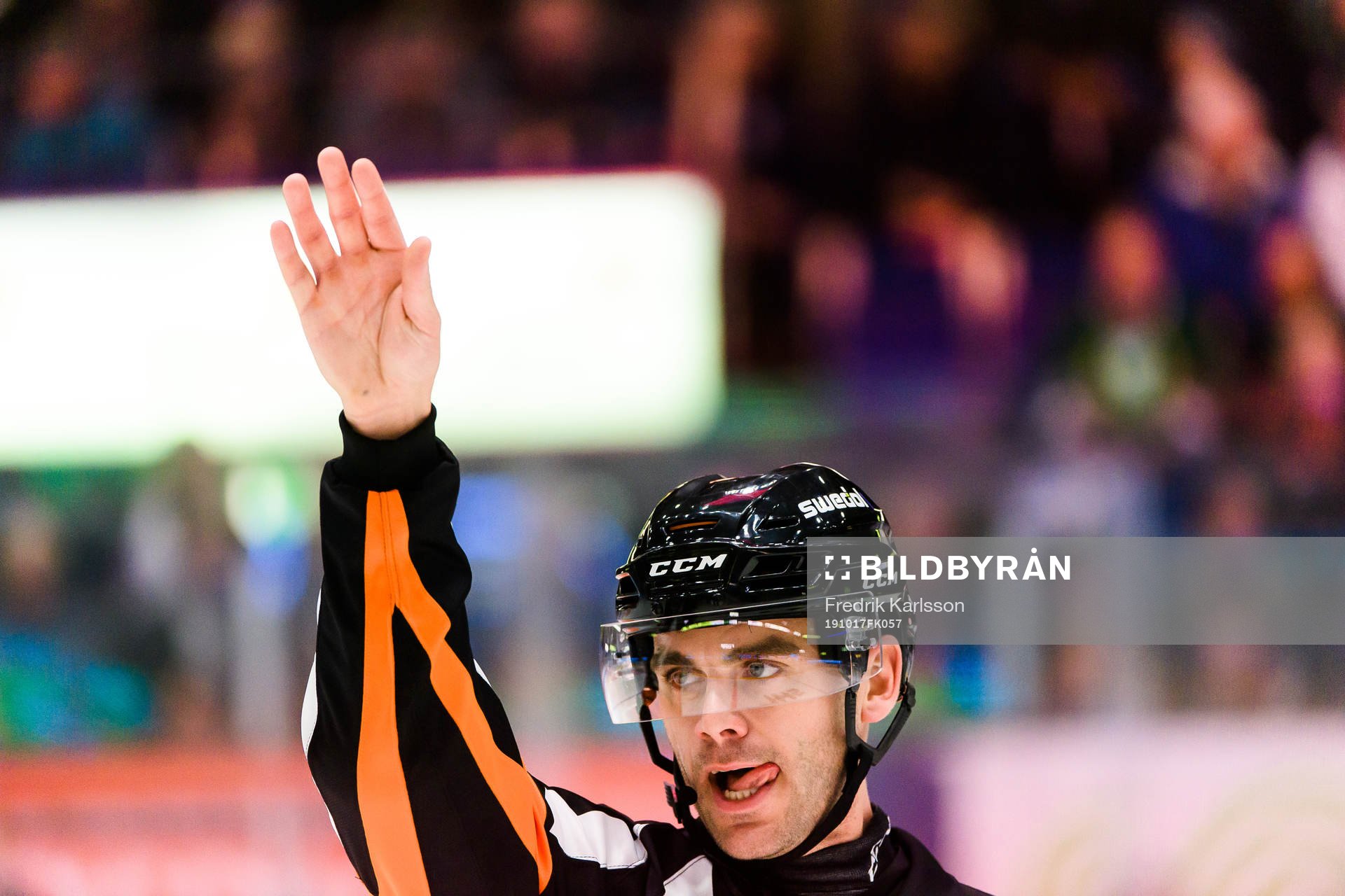 Domare Richard Magnusson