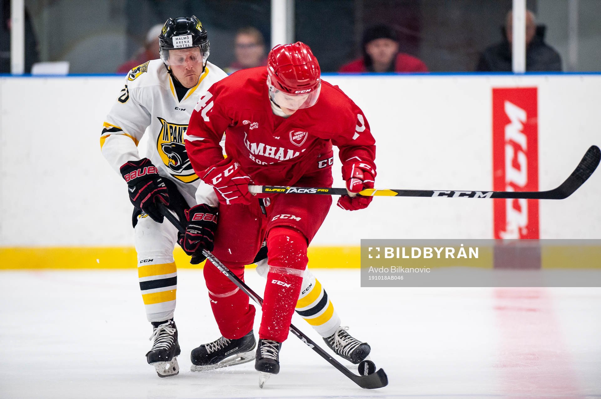 Limhamns Filip Staafgård och Panterns Filip Rubensson
