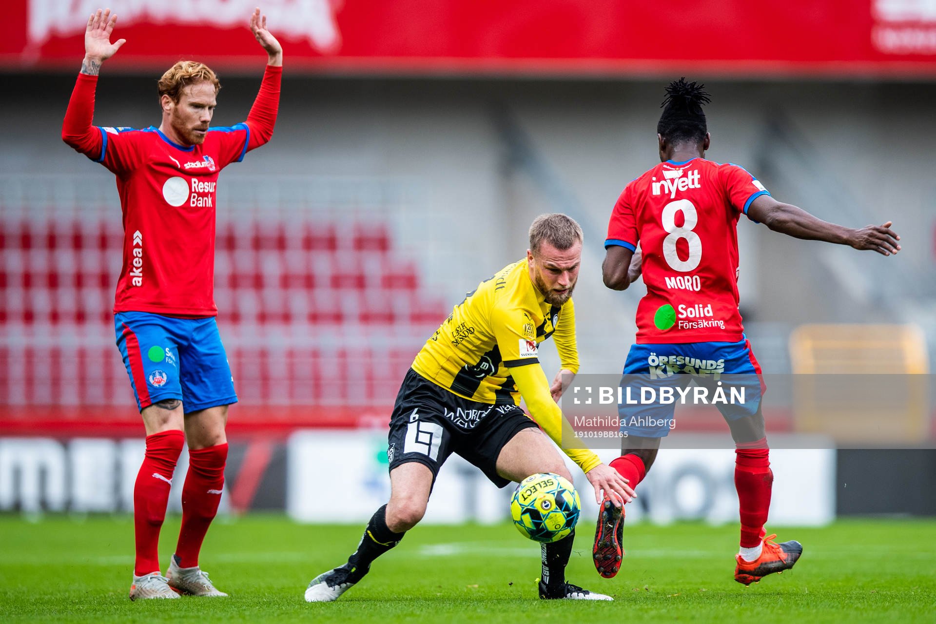 Häckens Alexander Faltsetas