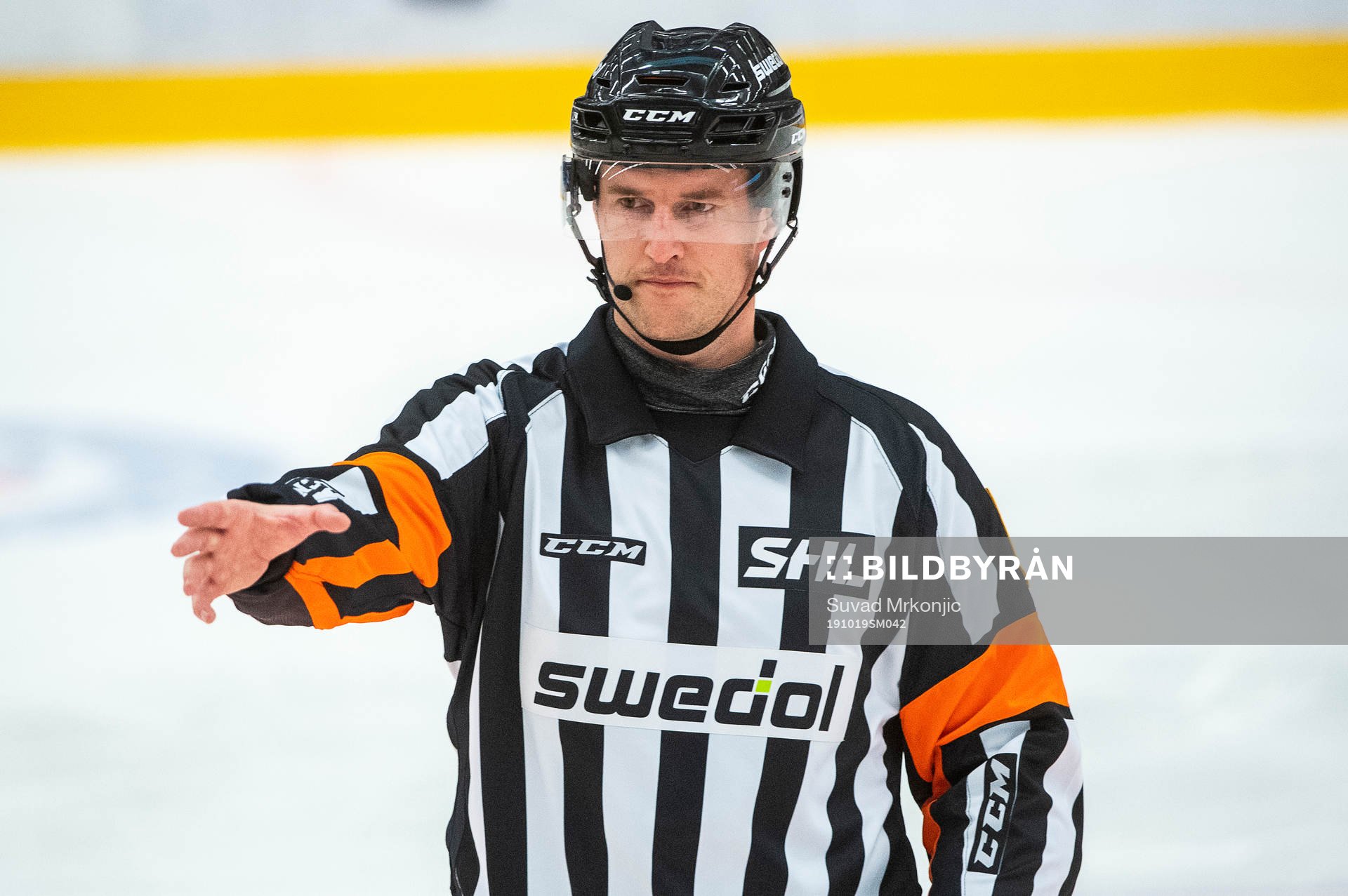Domare Thomas Andersson