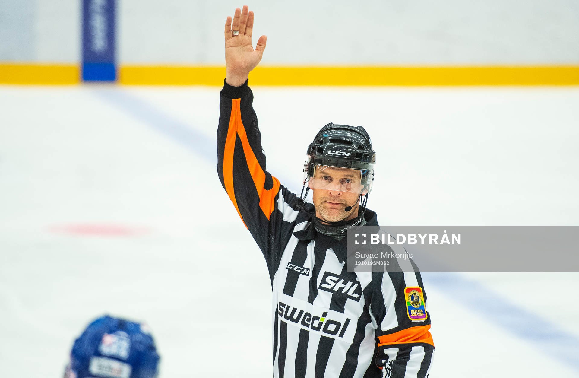 Domare Mikael Nord