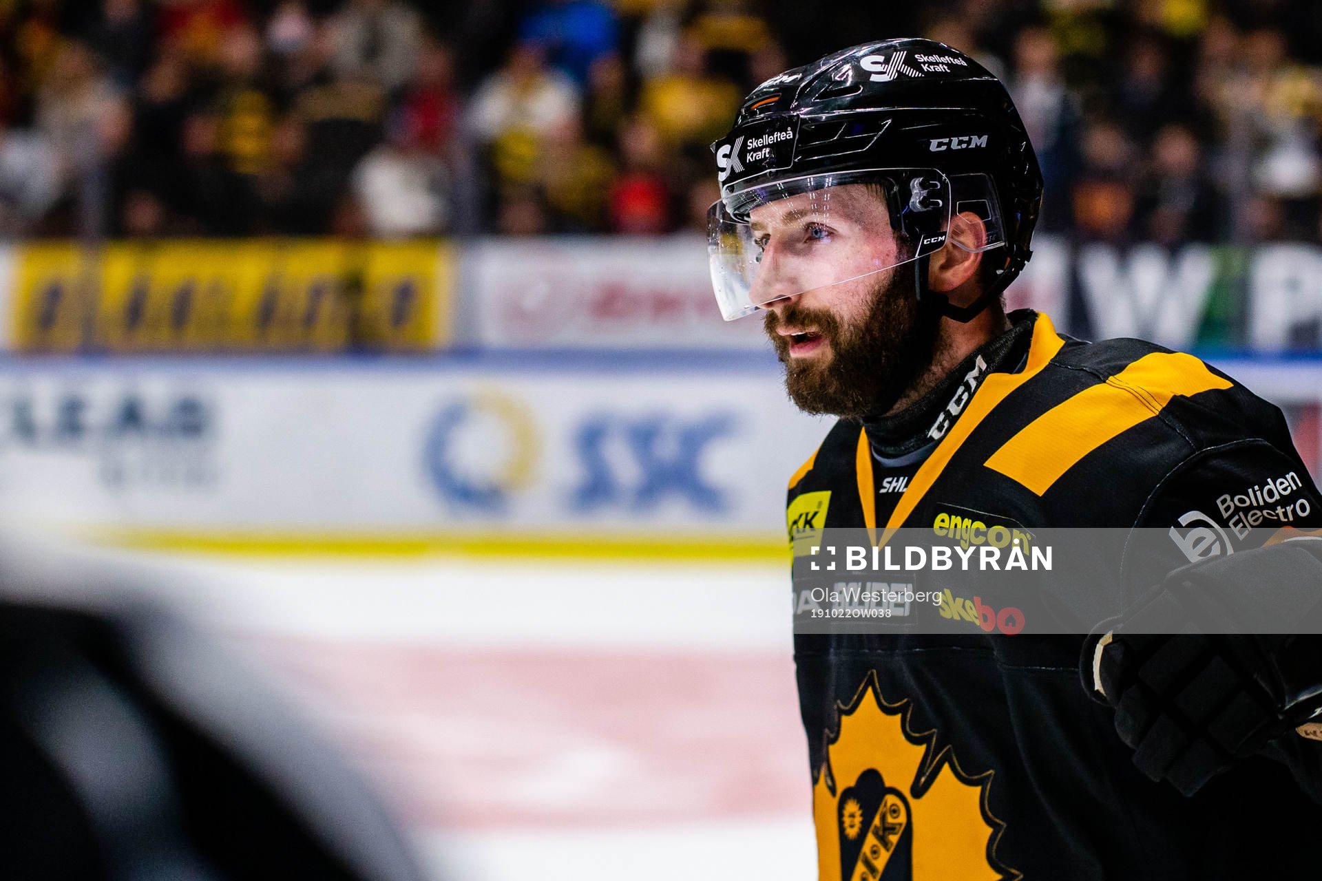 Skellefteås Tom Pyatt jublar