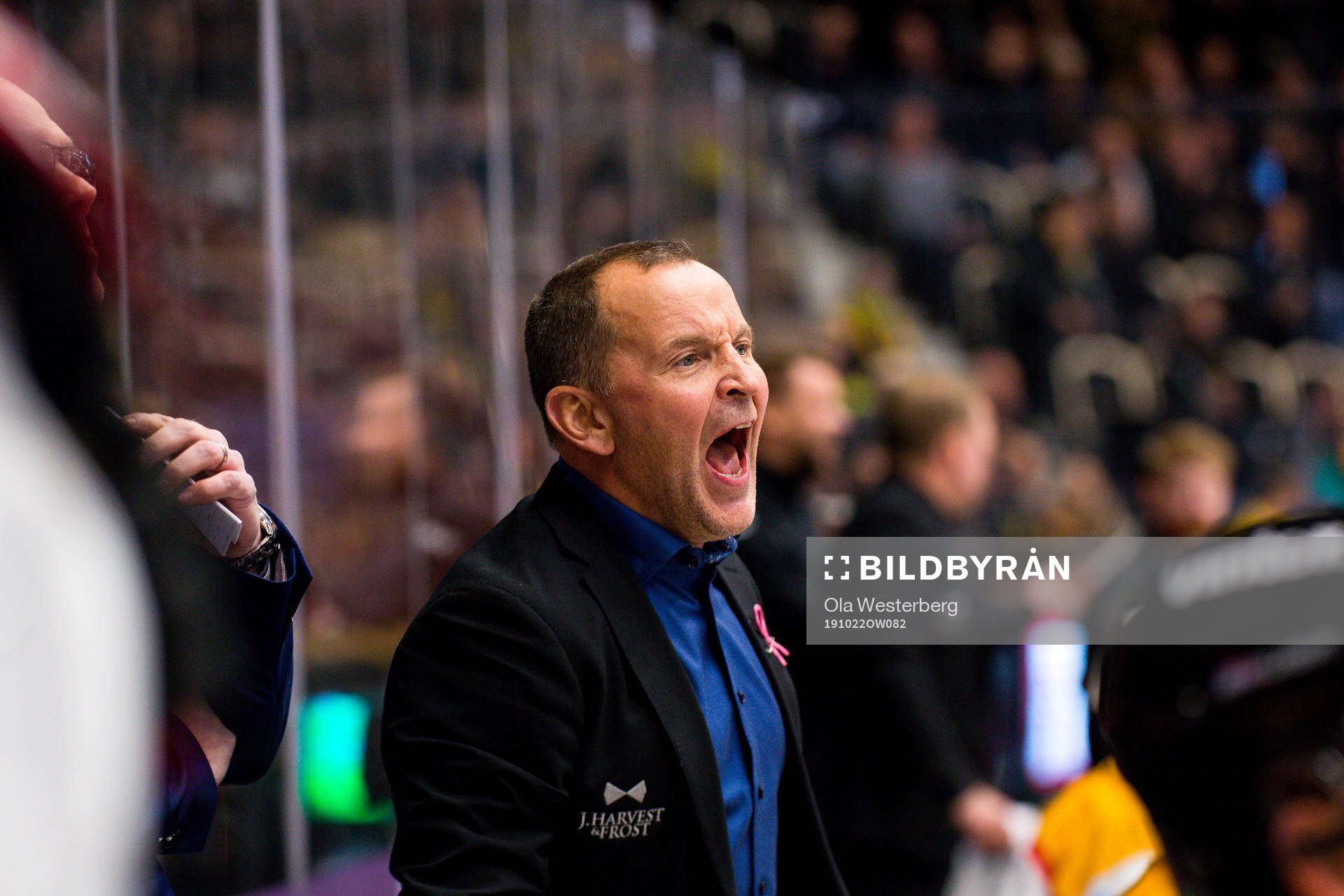 Luleås tränare Thomas Berglund